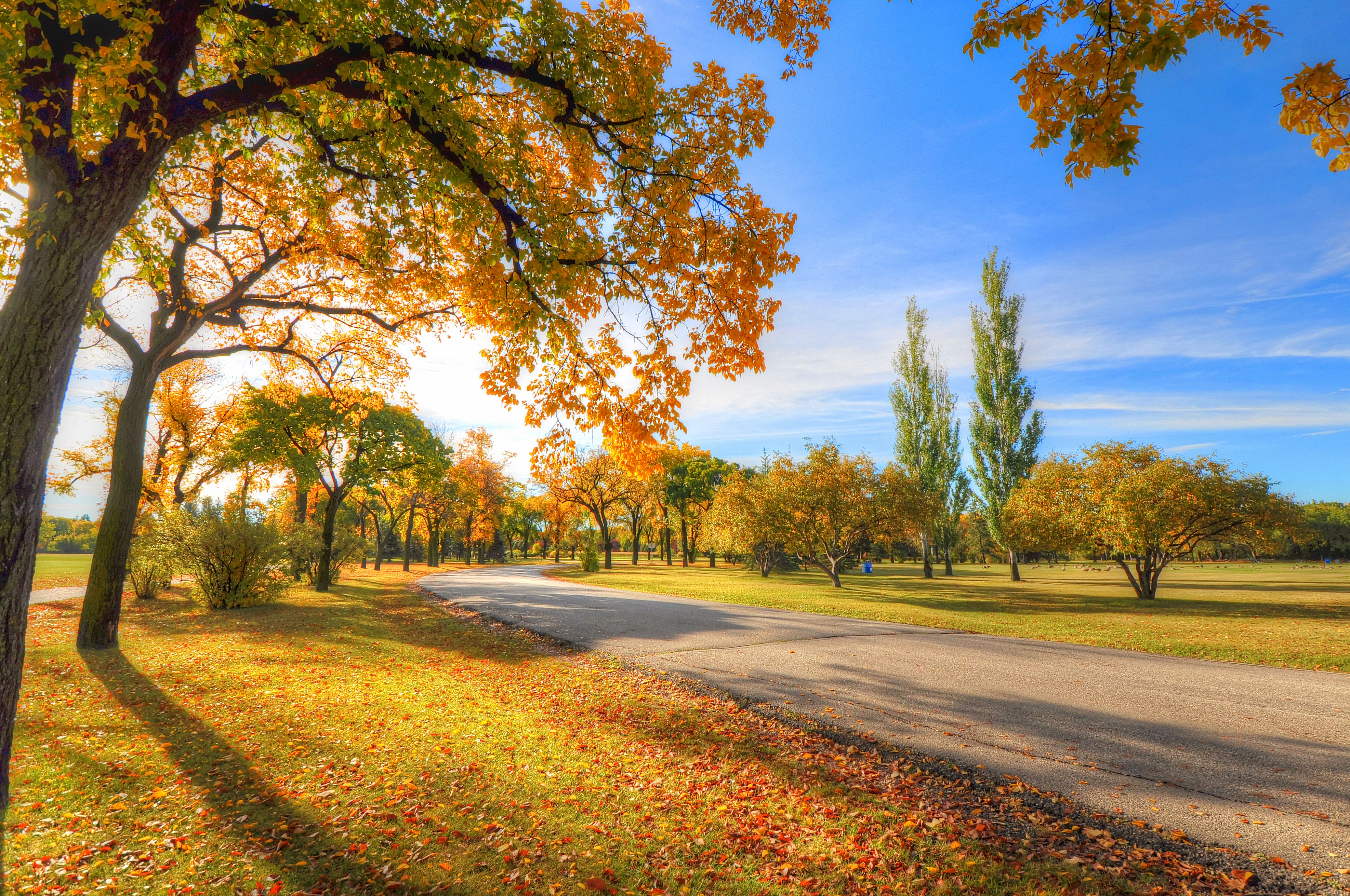 Free photo Autumn sunrise