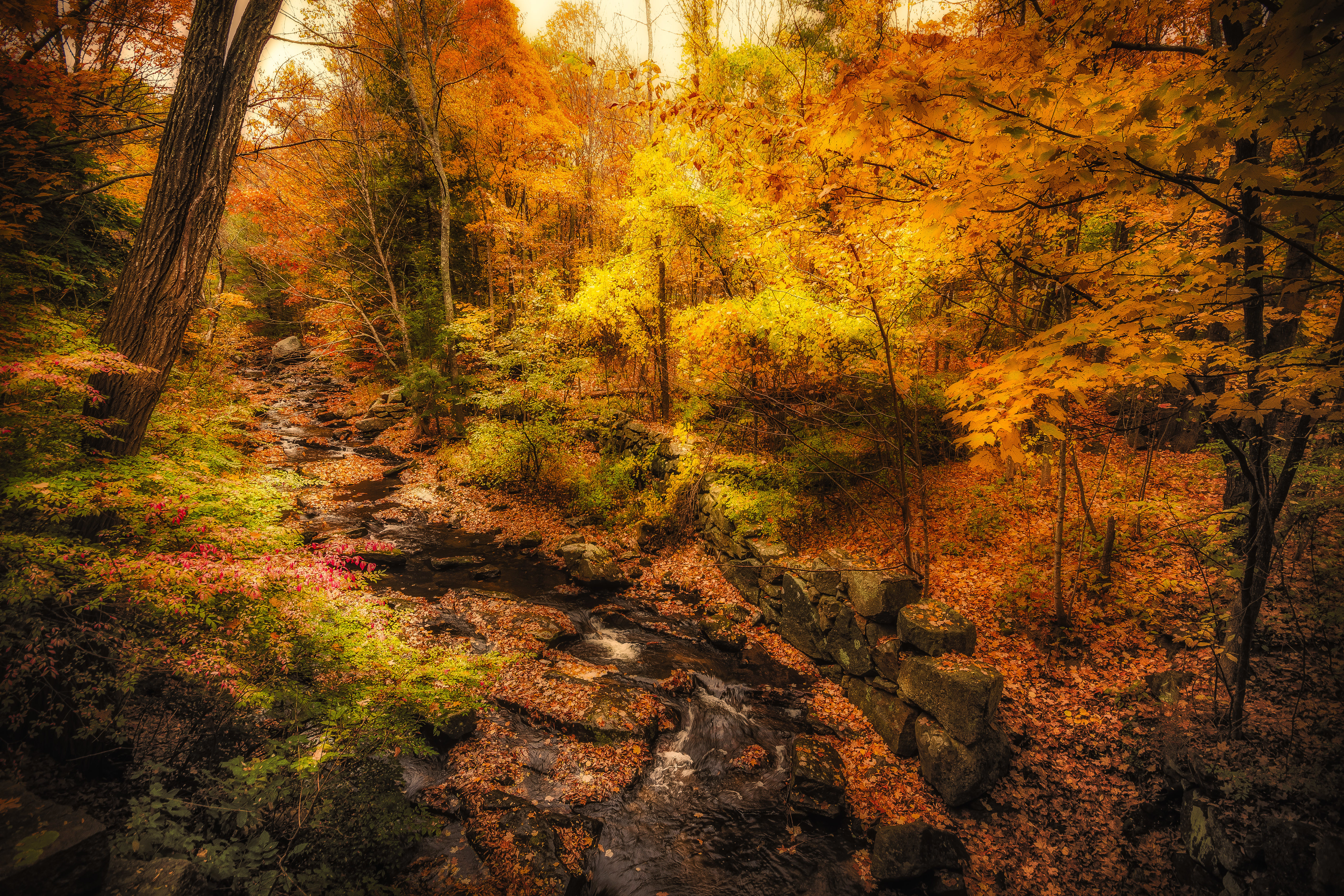 免费照片免费的秋季画报，手机上的秋季照片