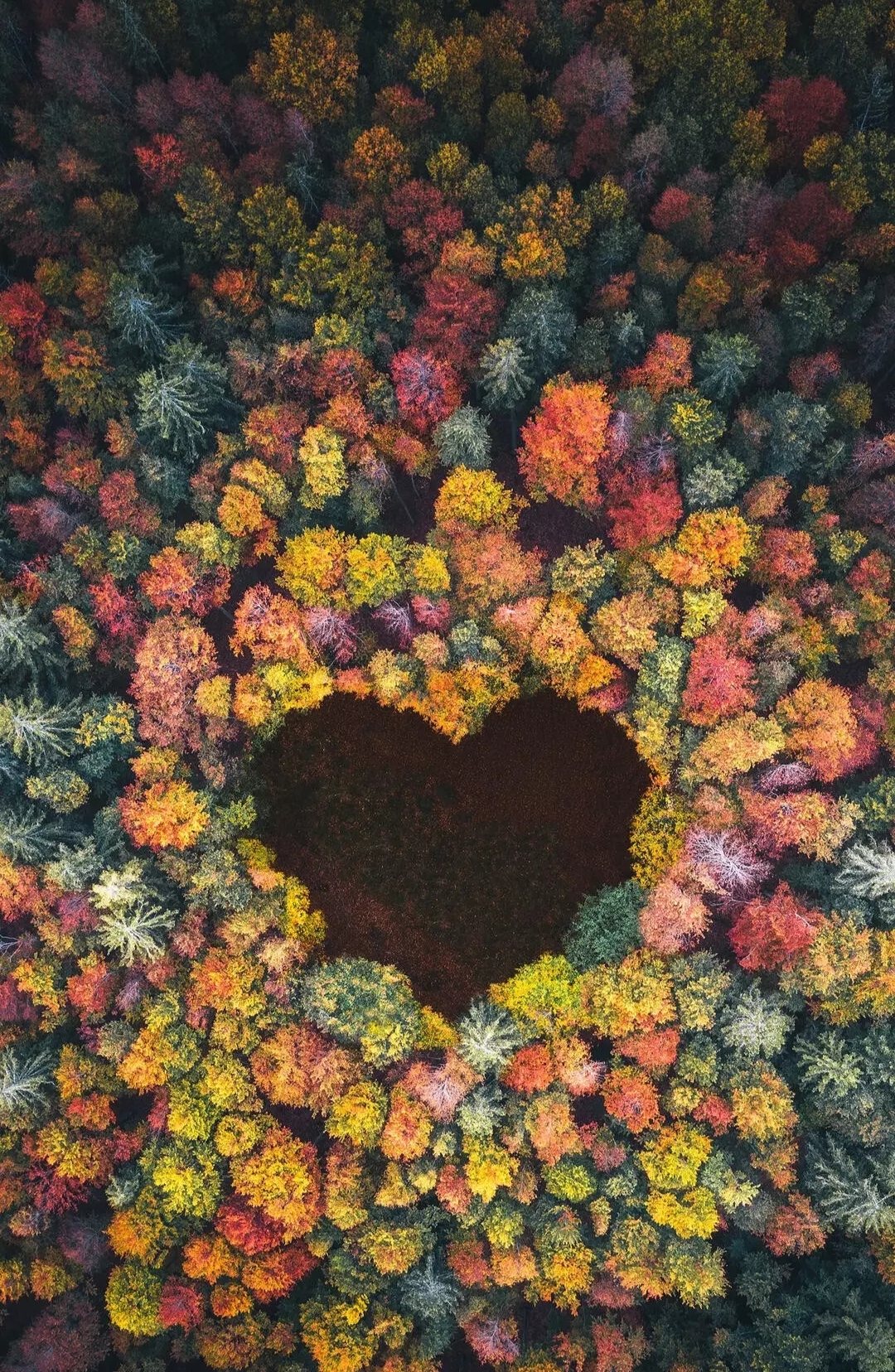 Free photo Autumn sun