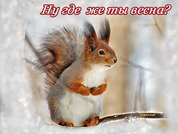 免费明信片等待春天