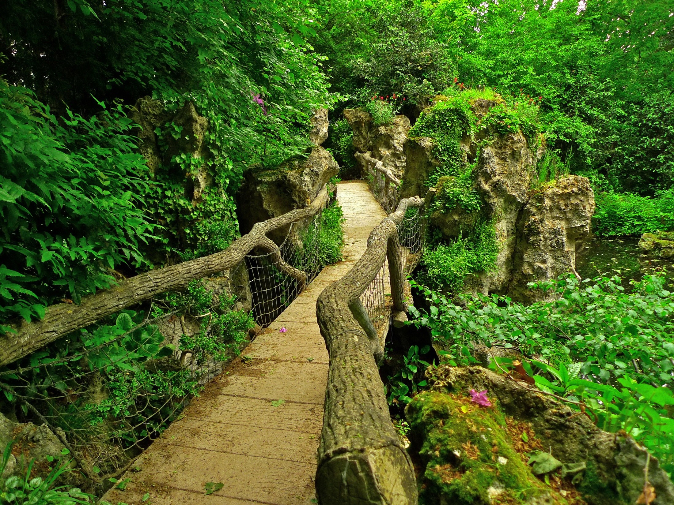 Free photo An old wooden bridge in the forest