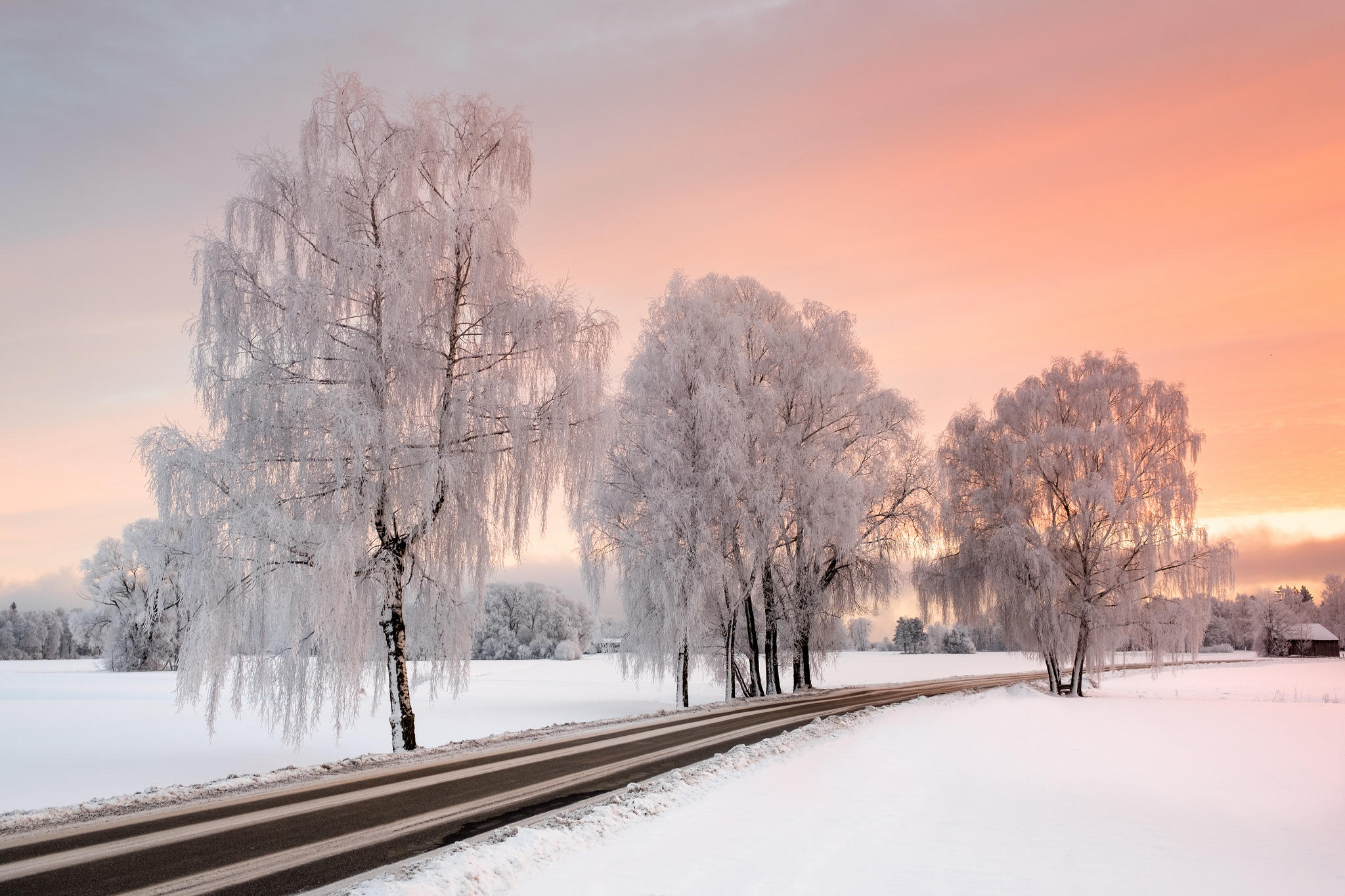 Free photo Beautiful wallpaper winter, landscape