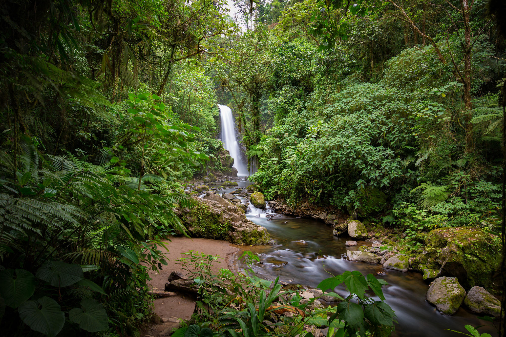 Wallpapers waterfall trees small river on the desktop