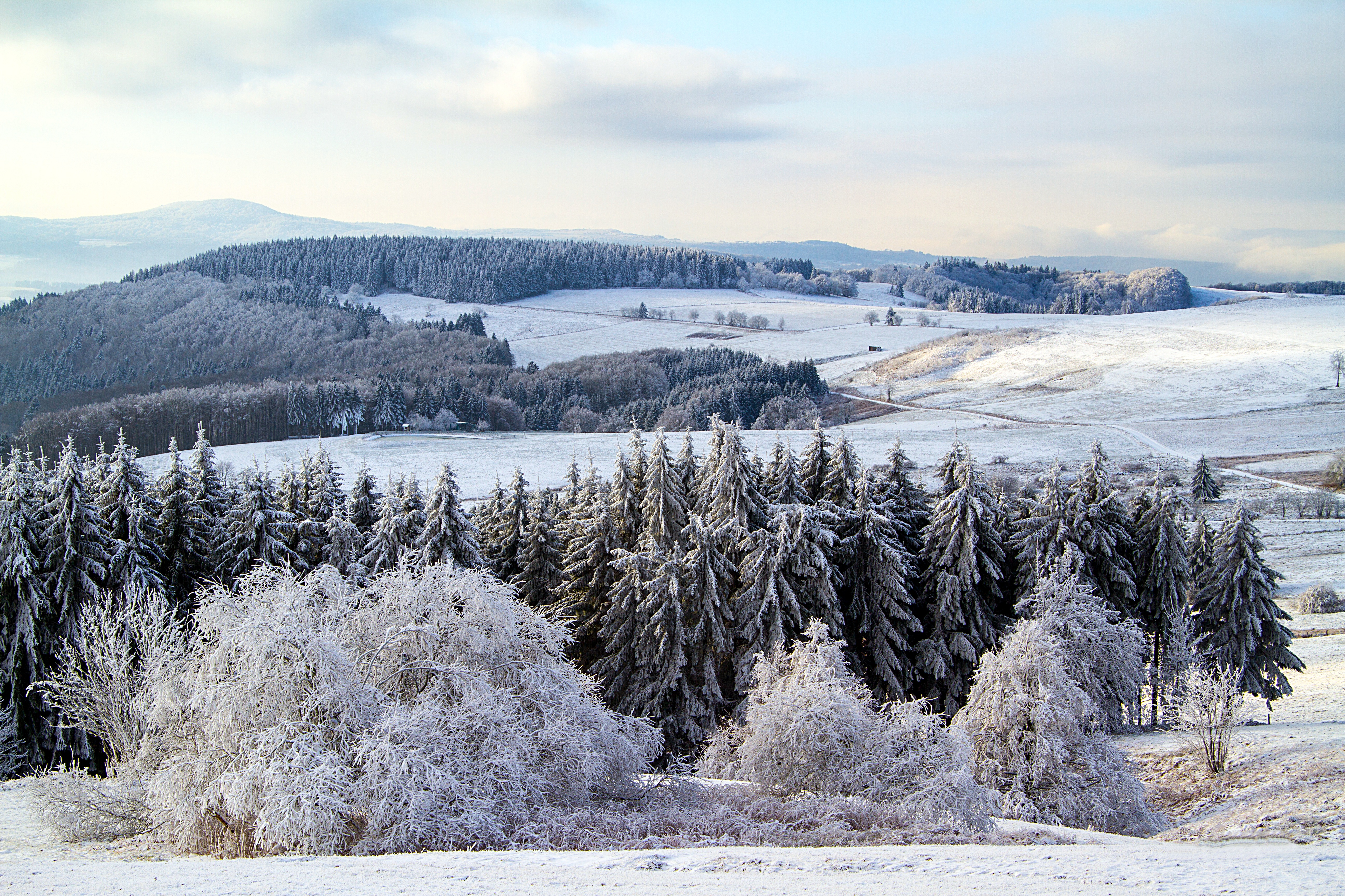 Free photo Winter landscape on Wasserkuppe Mountain