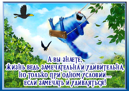 主题为生活 福 猫的明信片免费下载