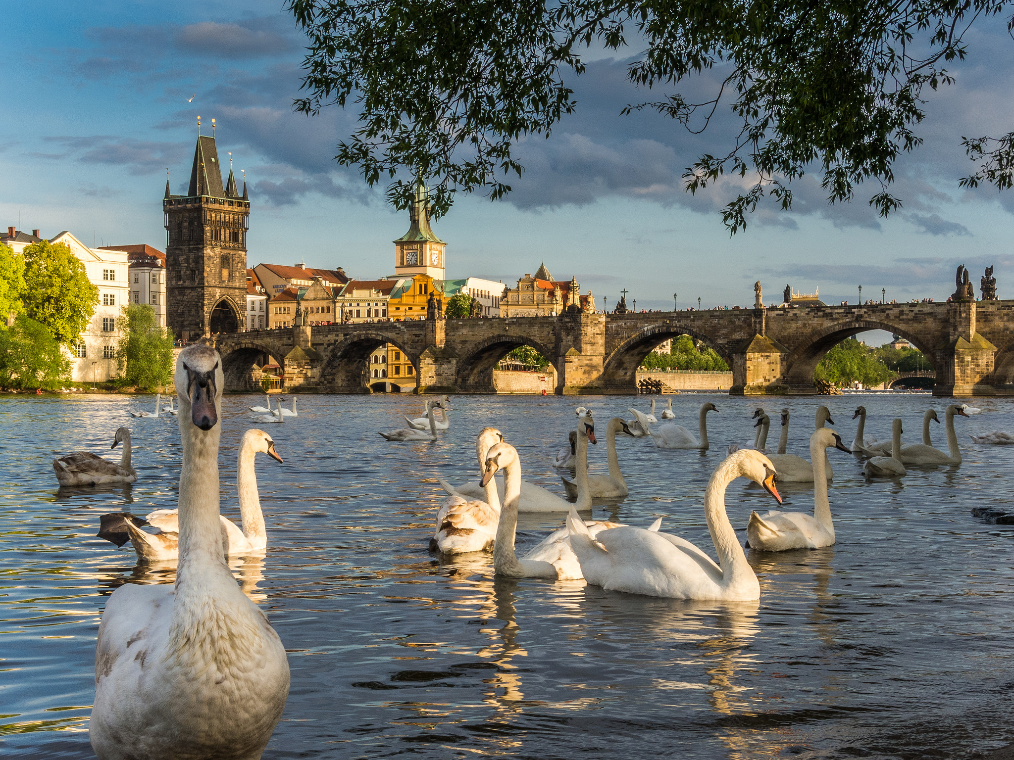 Обои столица чехии Prague на рабочий стол