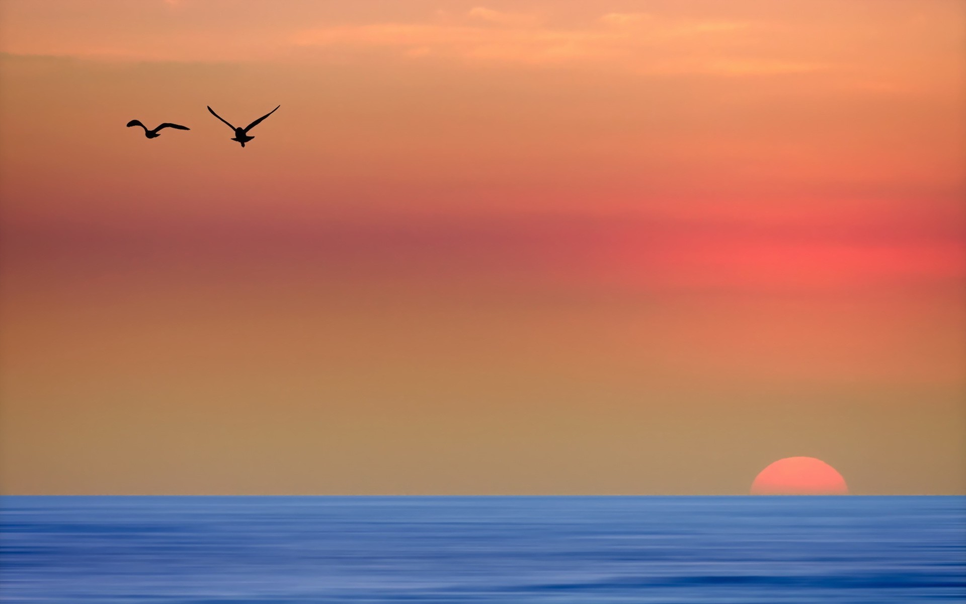 Wallpapers sunlight sunset sea on the desktop