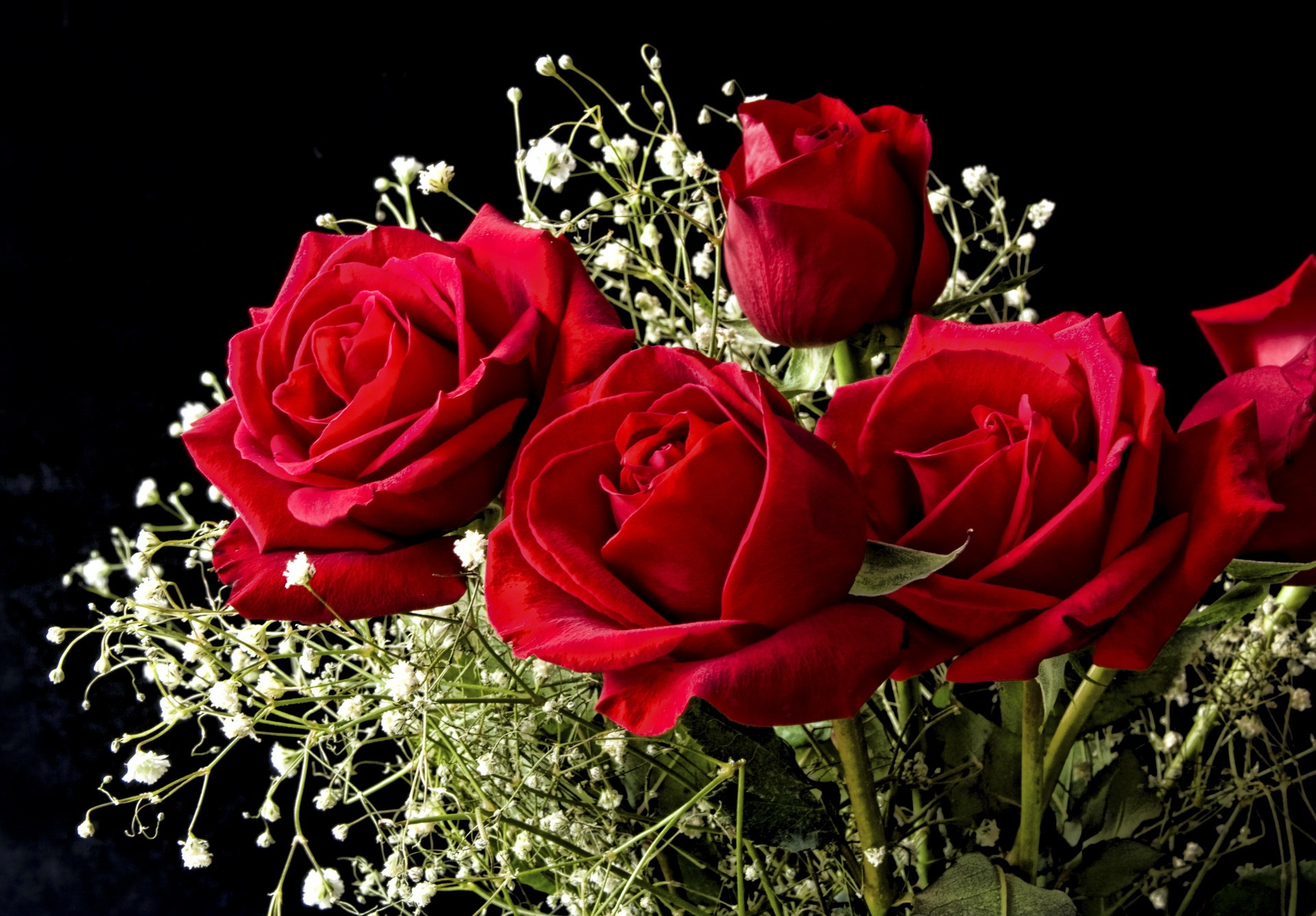 一束美丽的红玫瑰