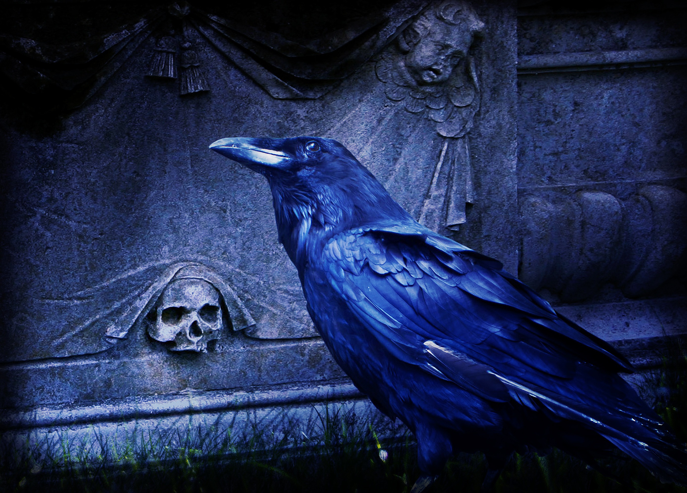 一扇黑色的大门矗立在墓室旁边