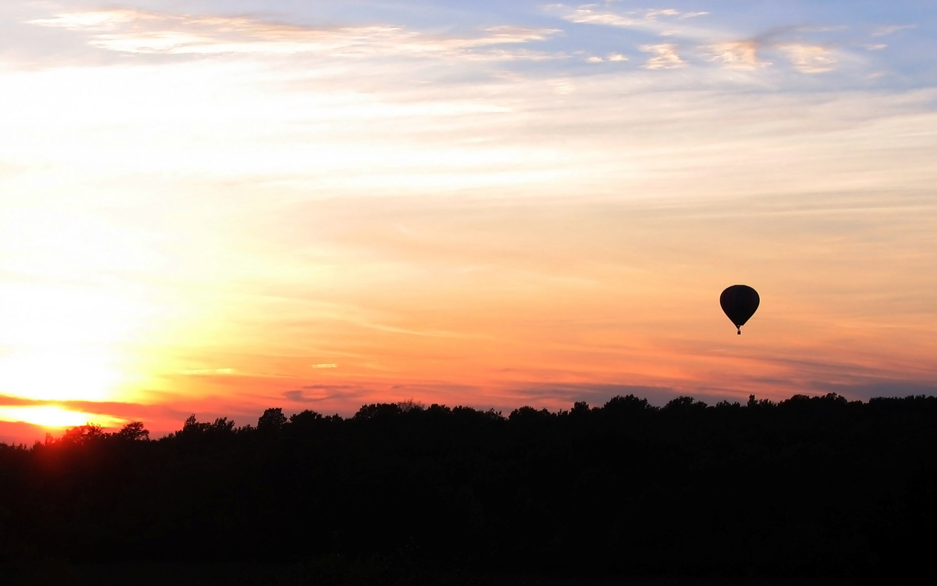 Wallpapers trees tops balloon on the desktop