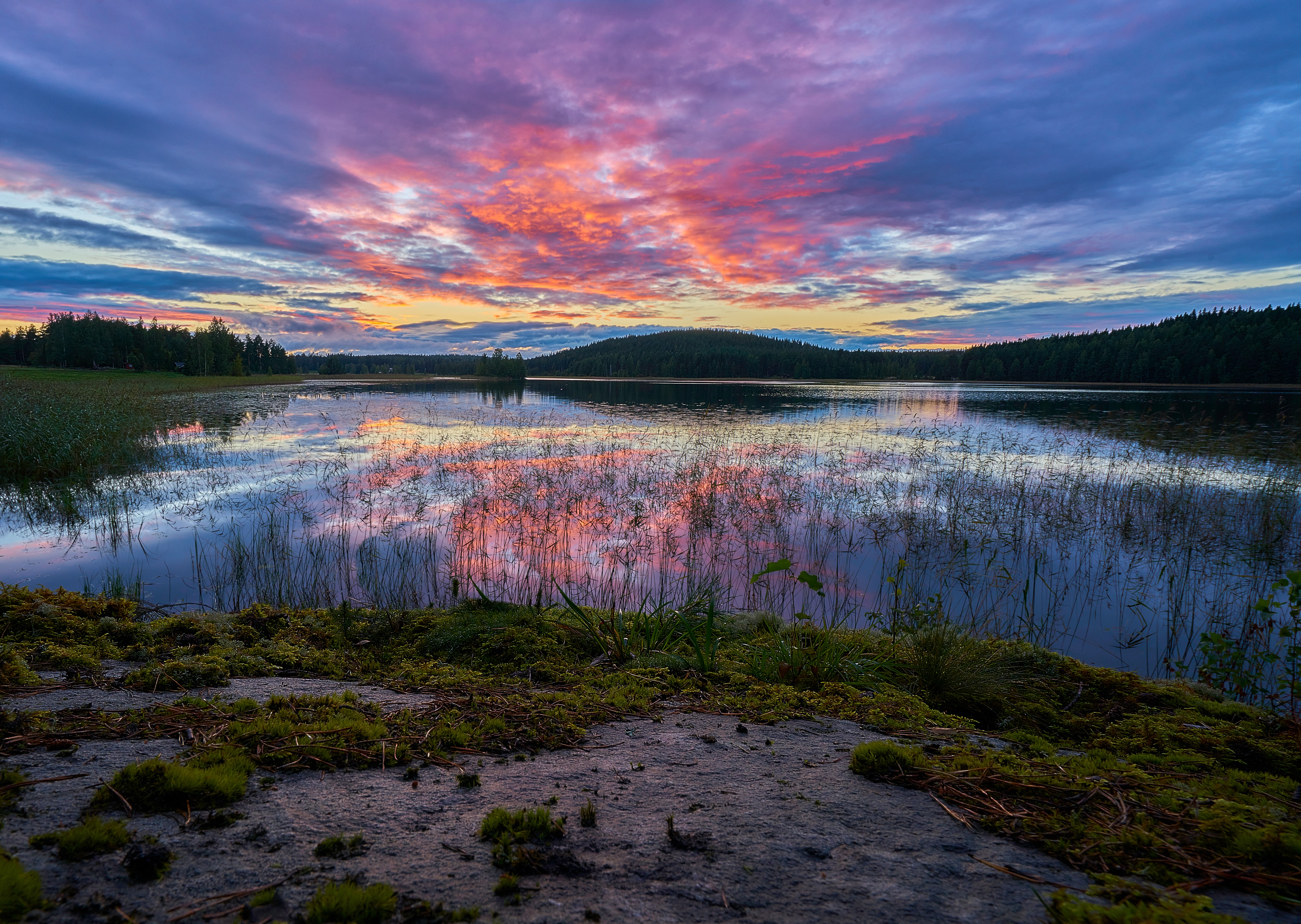 Бесплатное фото Восход солнца на речке