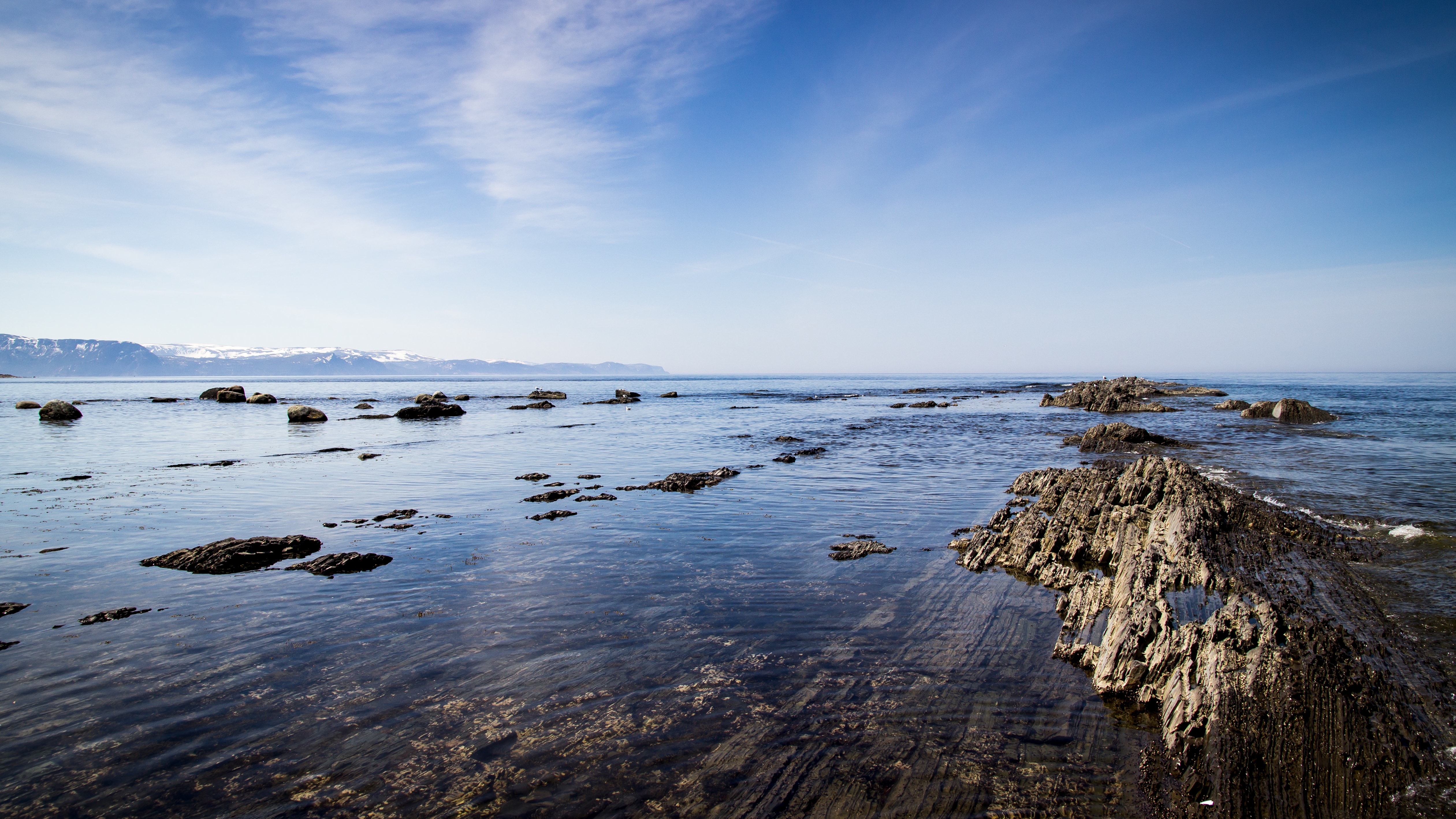 Rocky coastline and shallow waters