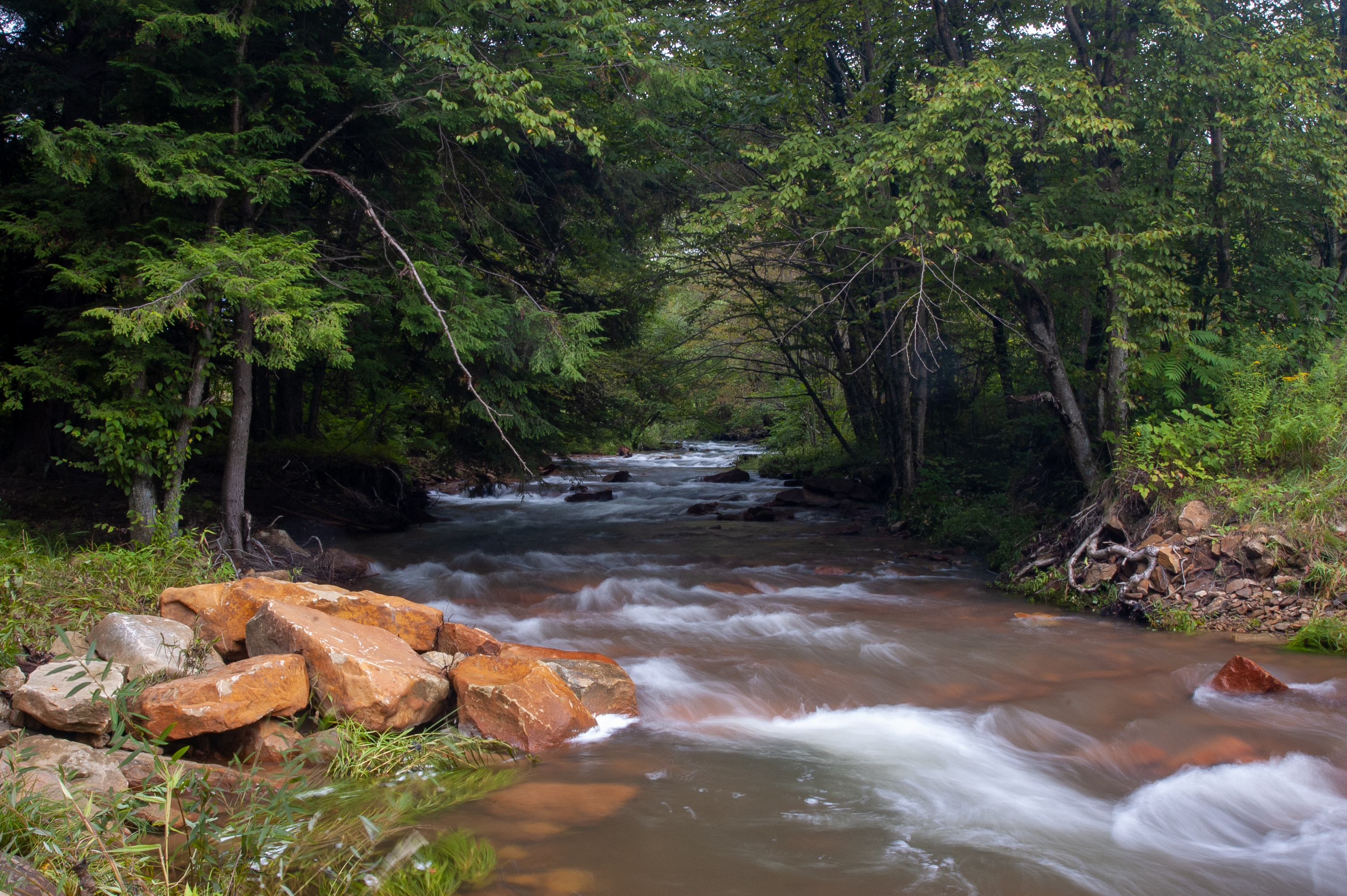 Free photo Strong river current in the forest