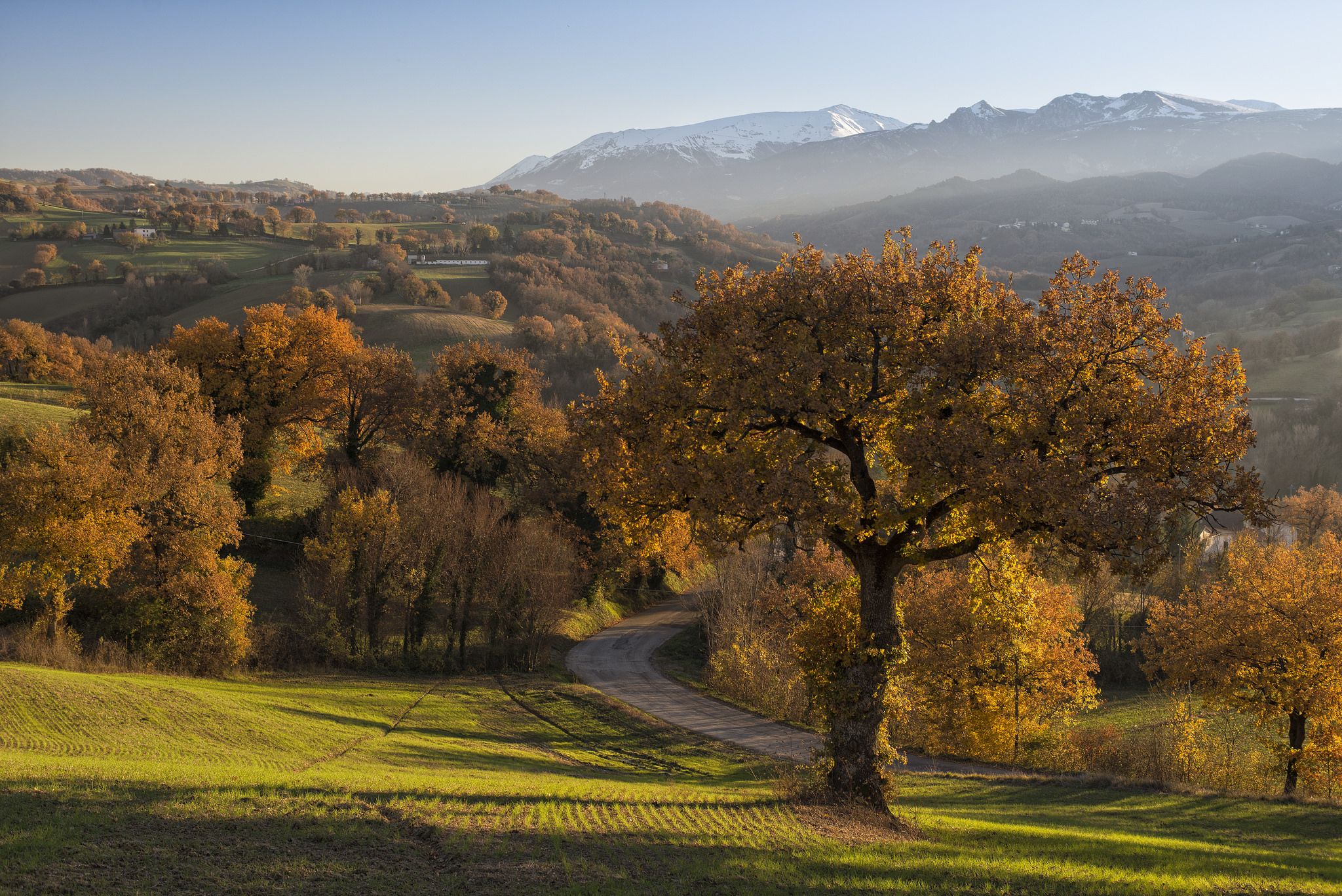 Wallpapers road Tolentino Italy on the desktop