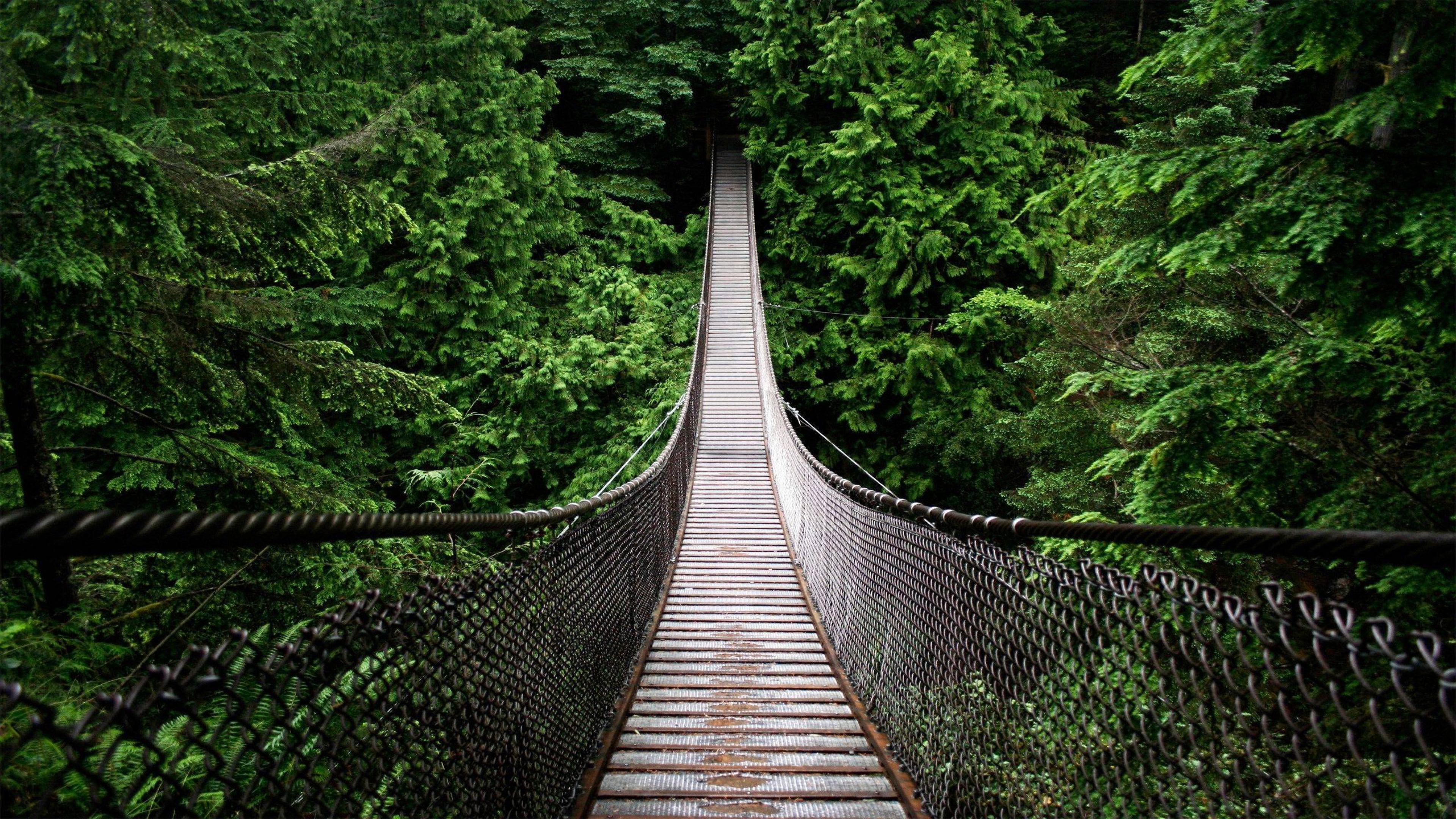 Free photo Suspension bridge