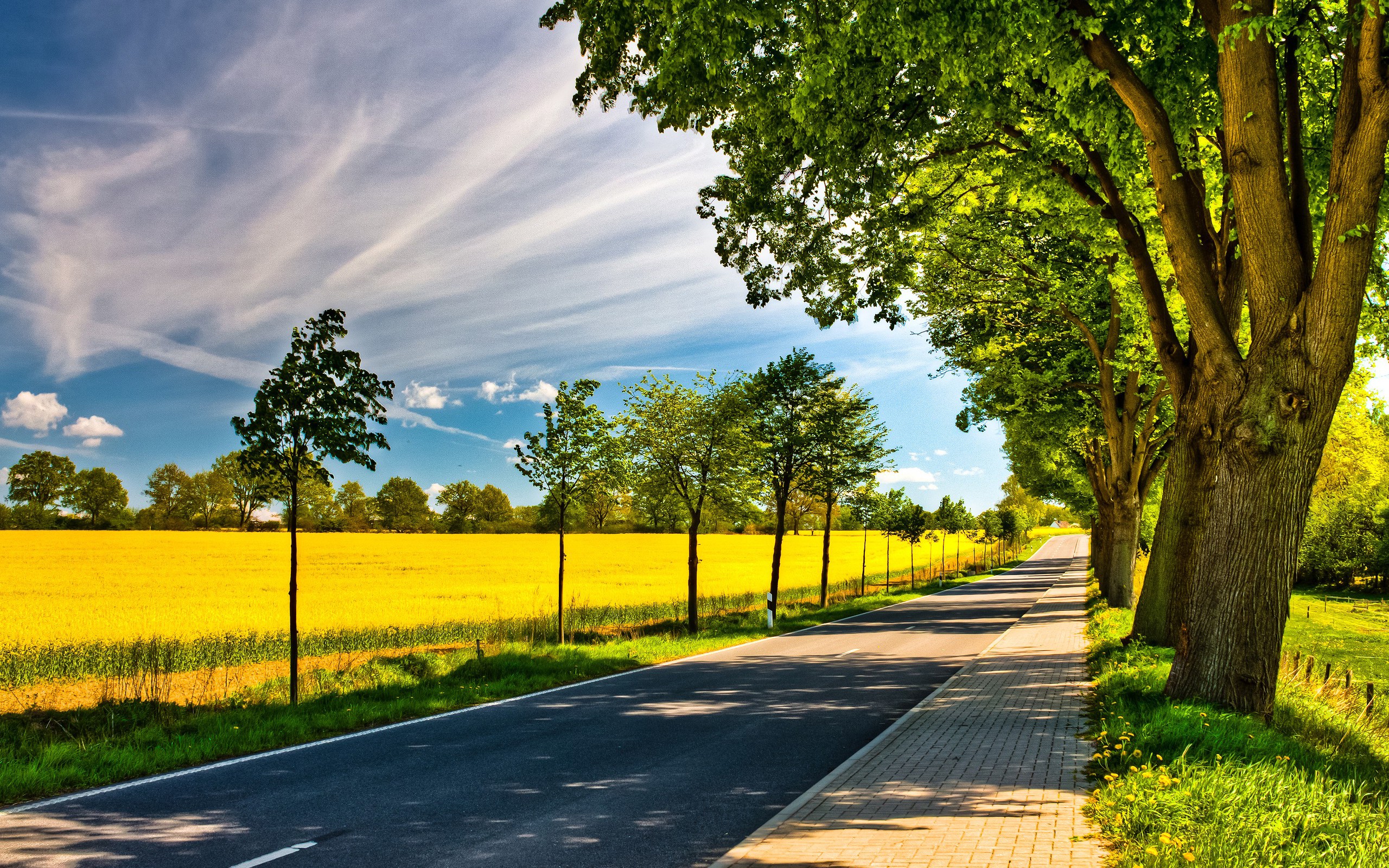 Wallpapers field nature road on the desktop