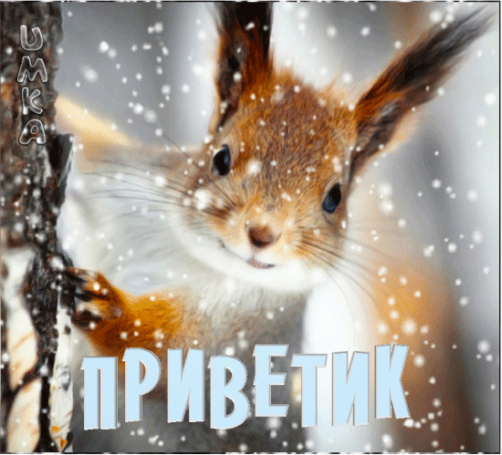 Открытка на тему лес снег привет скачать бесплатно