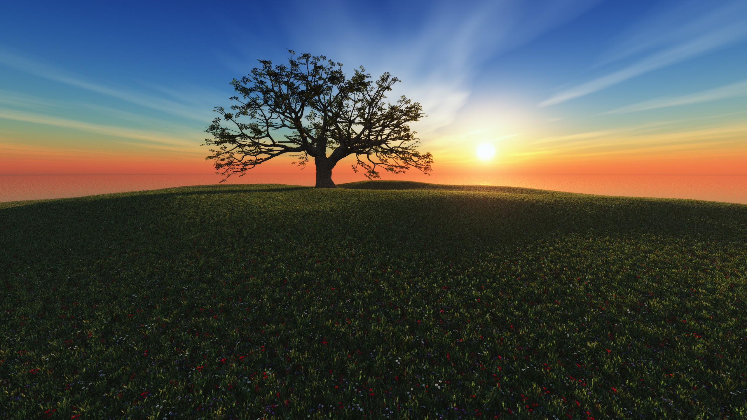 Wallpapers dappled sunlight the trees landscape on the desktop