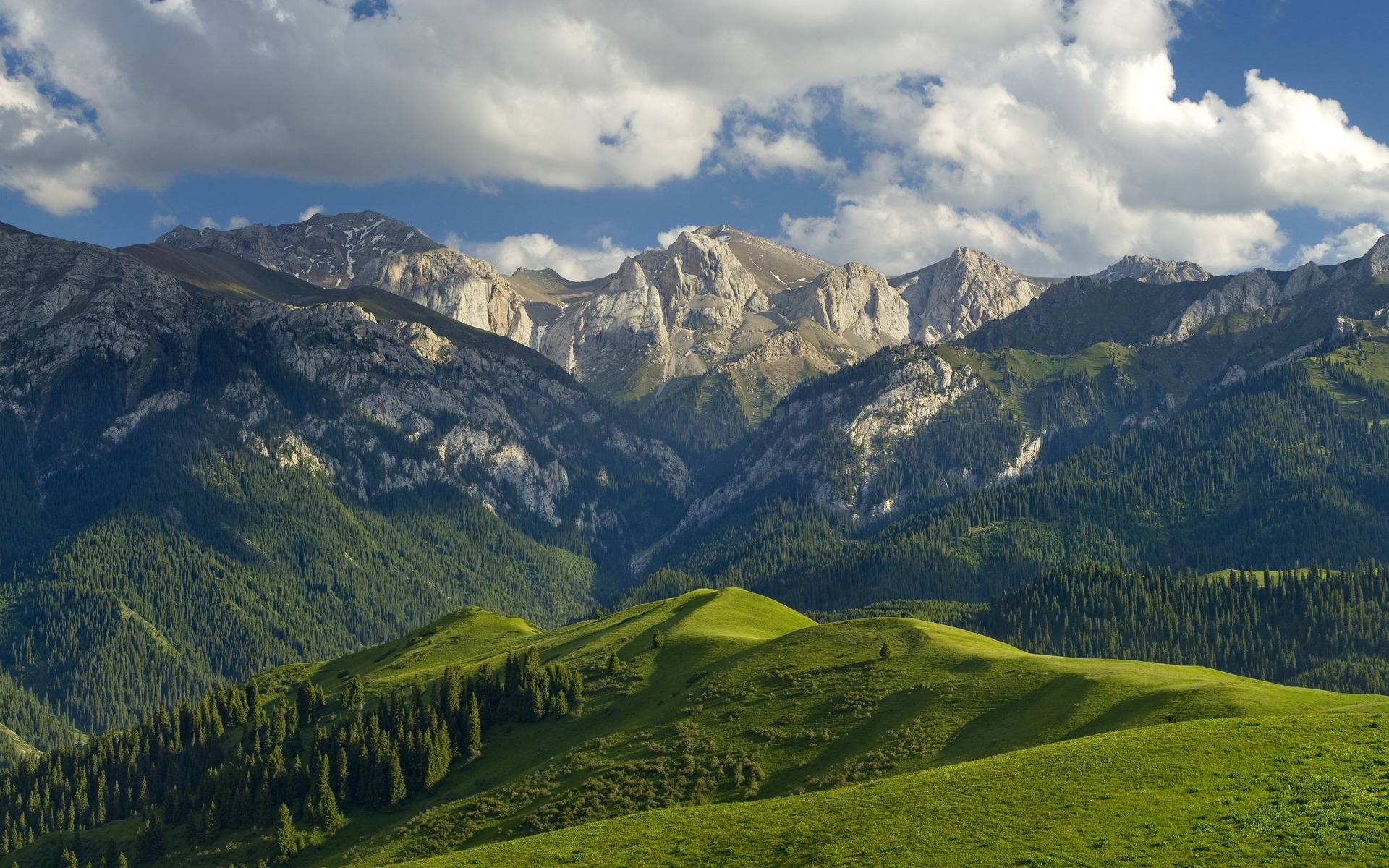 Wallpapers grass sky mountains on the desktop