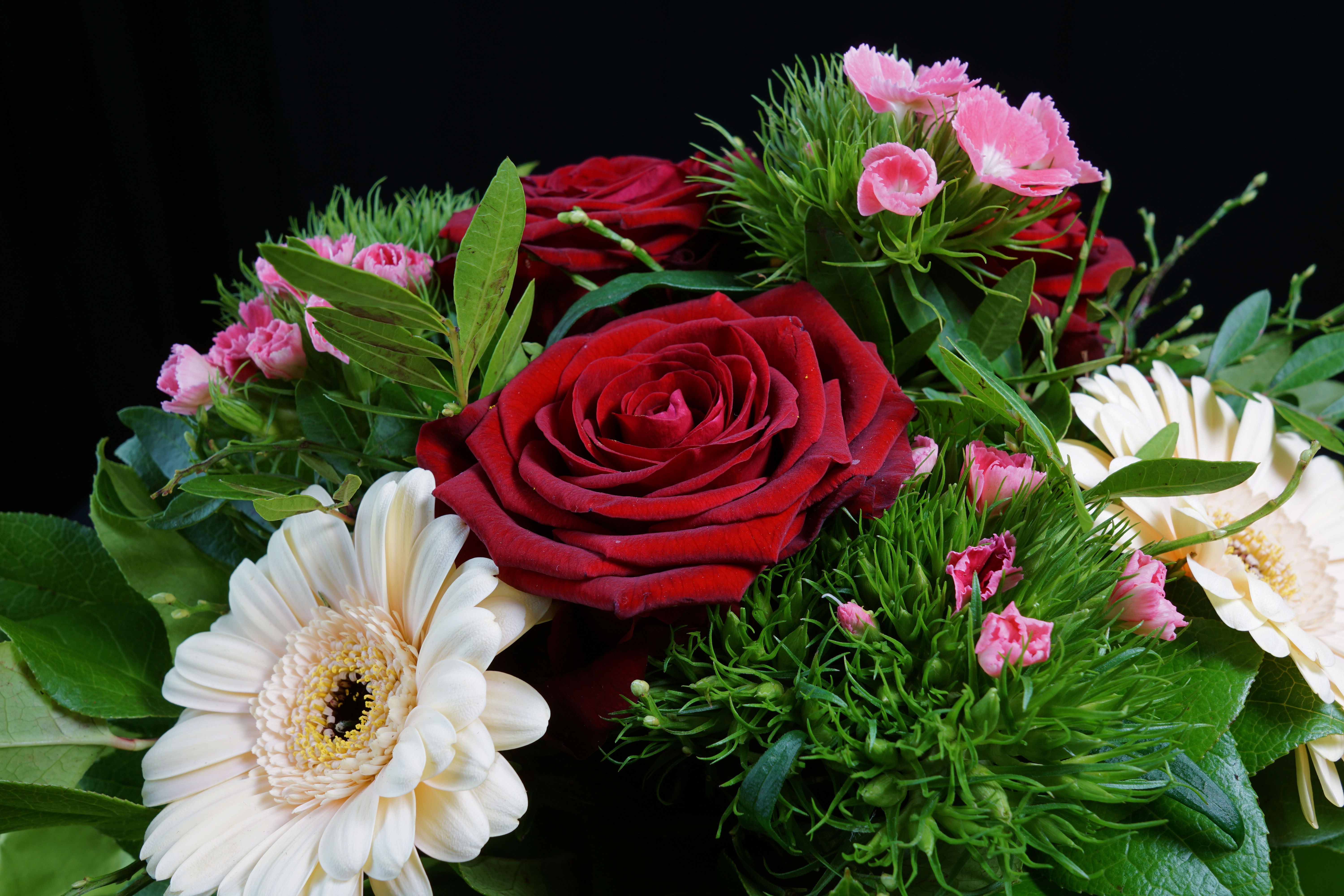 Wallpapers flower arrangement colorful flower on the desktop