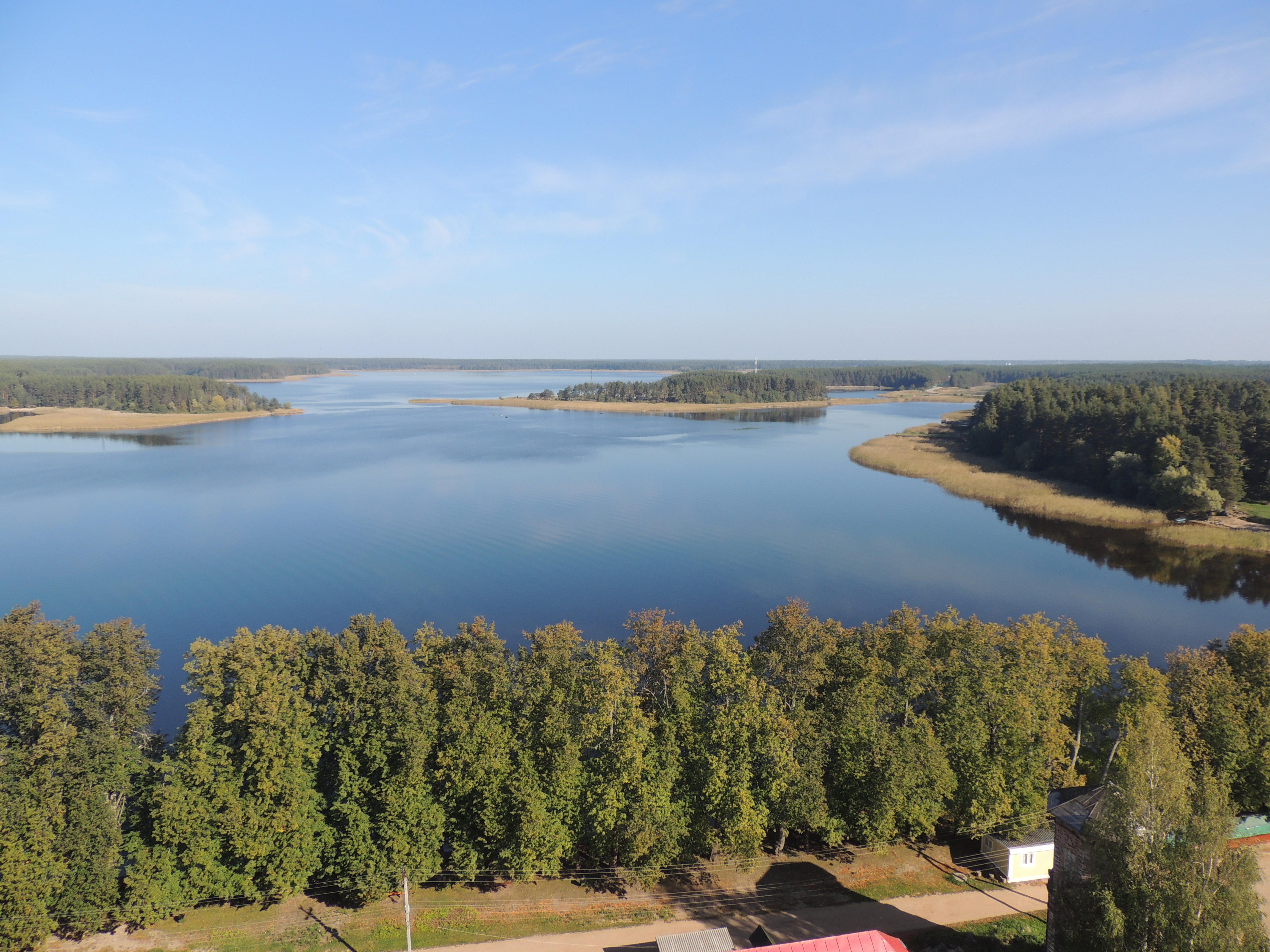 Free photo Landscape of the forest around the river in sunny weather