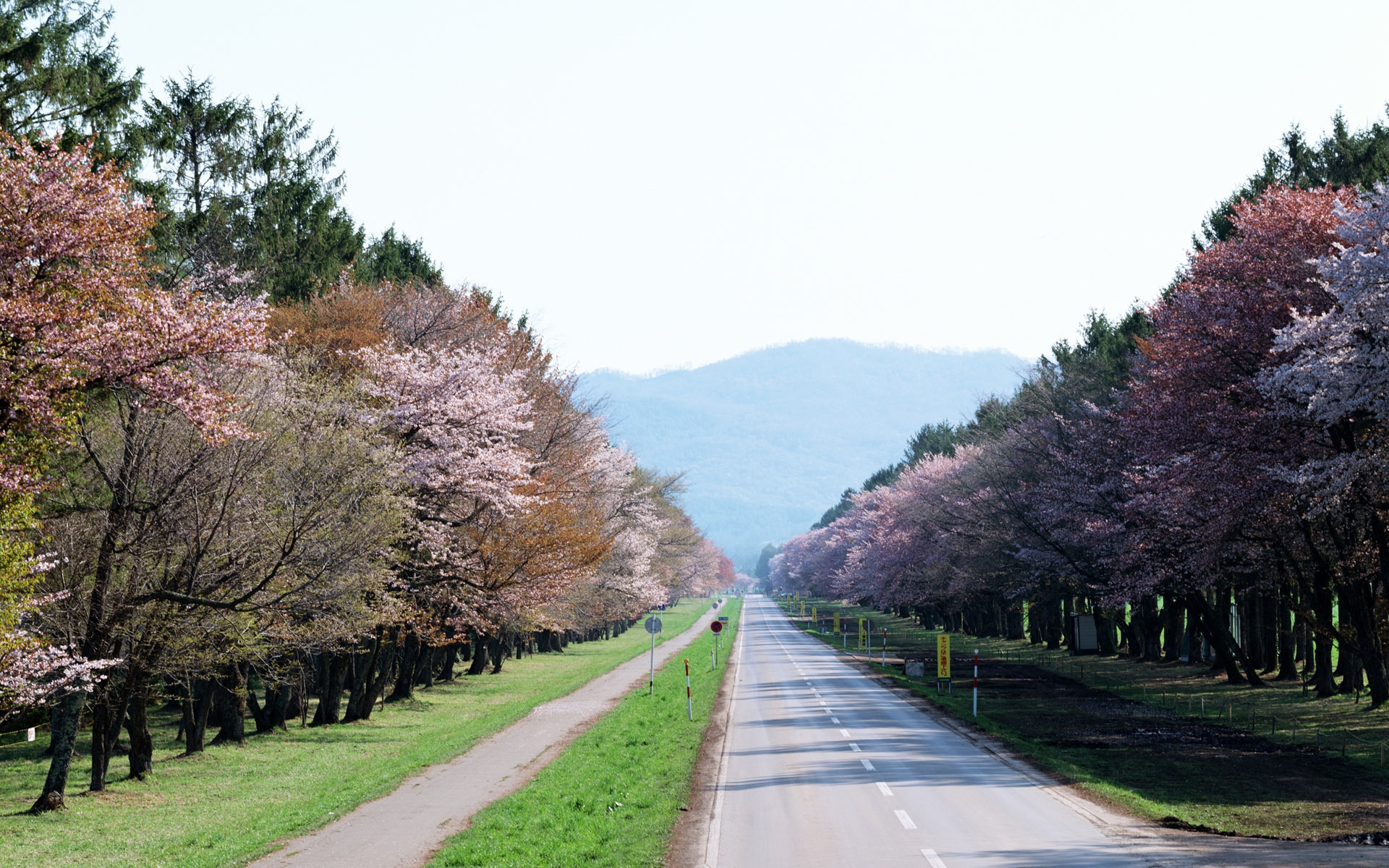 Wallpapers road gardens Japan on the desktop
