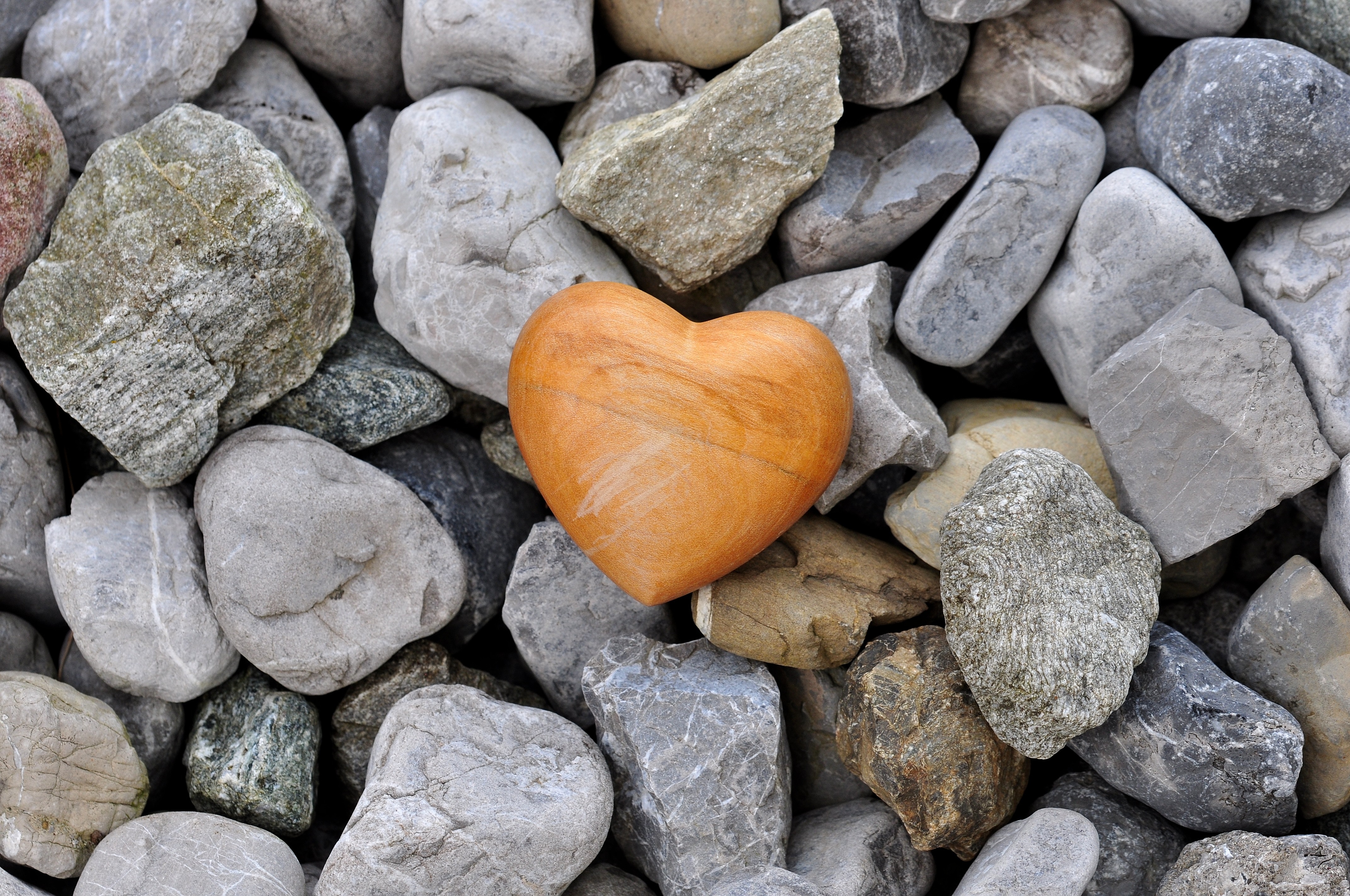 Free photo A heart-shaped pebble