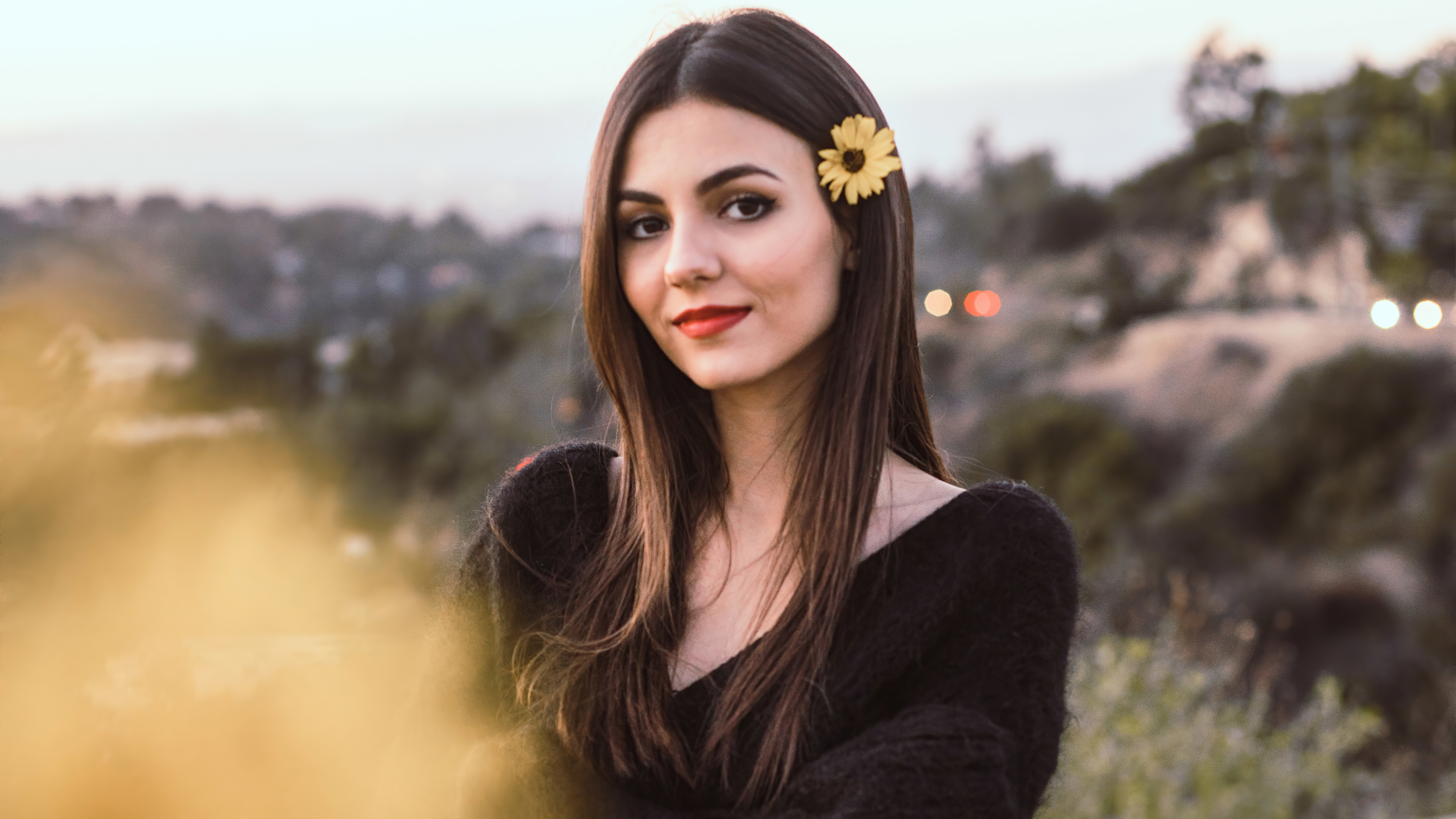 Wallpapers brunette grin Victoria Justice on the desktop