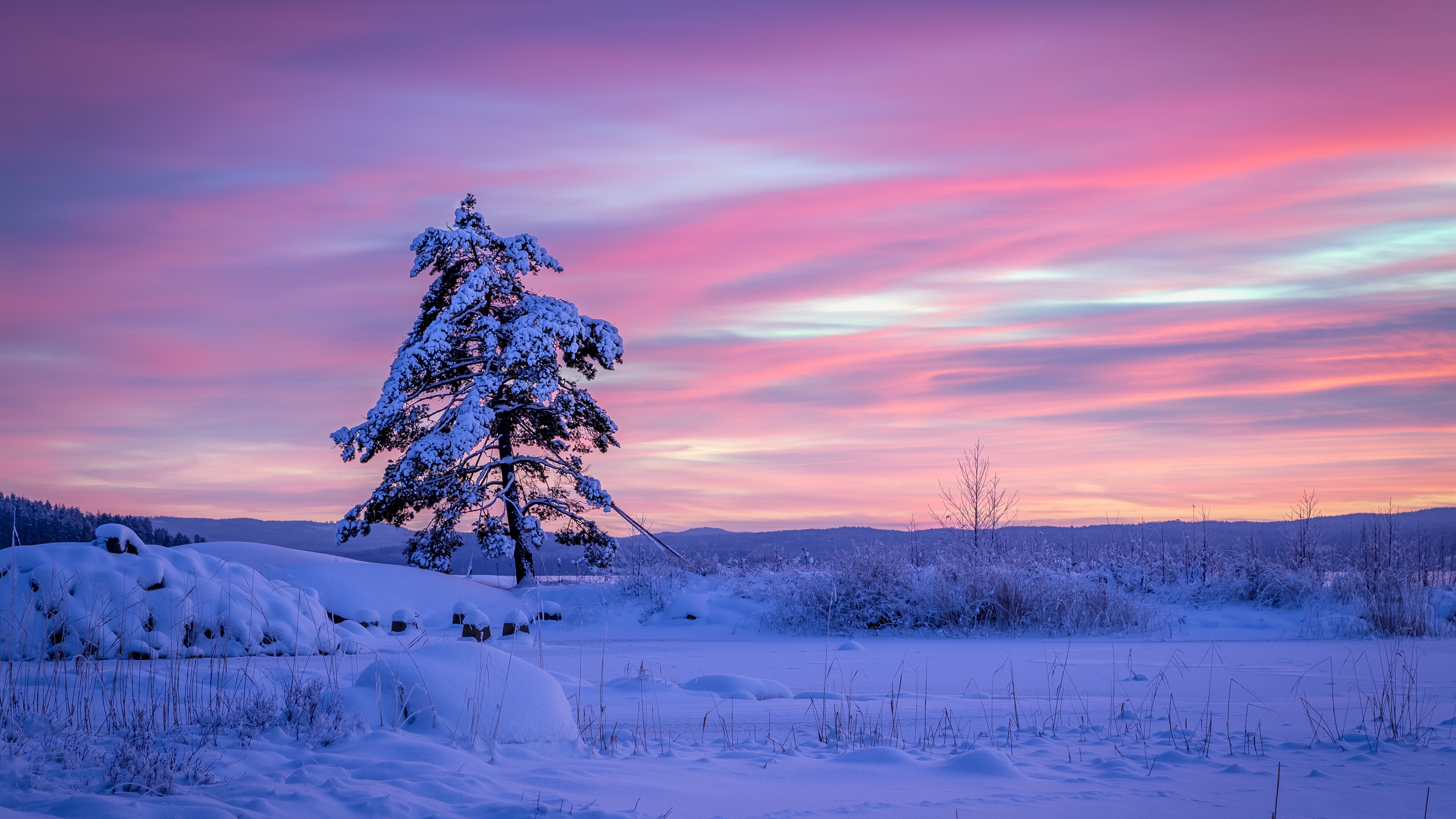 Free photo Snowy cold Sweden