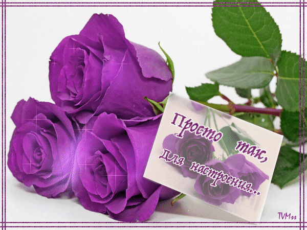 Открытка на тему настроение пожелание букет скачать бесплатно