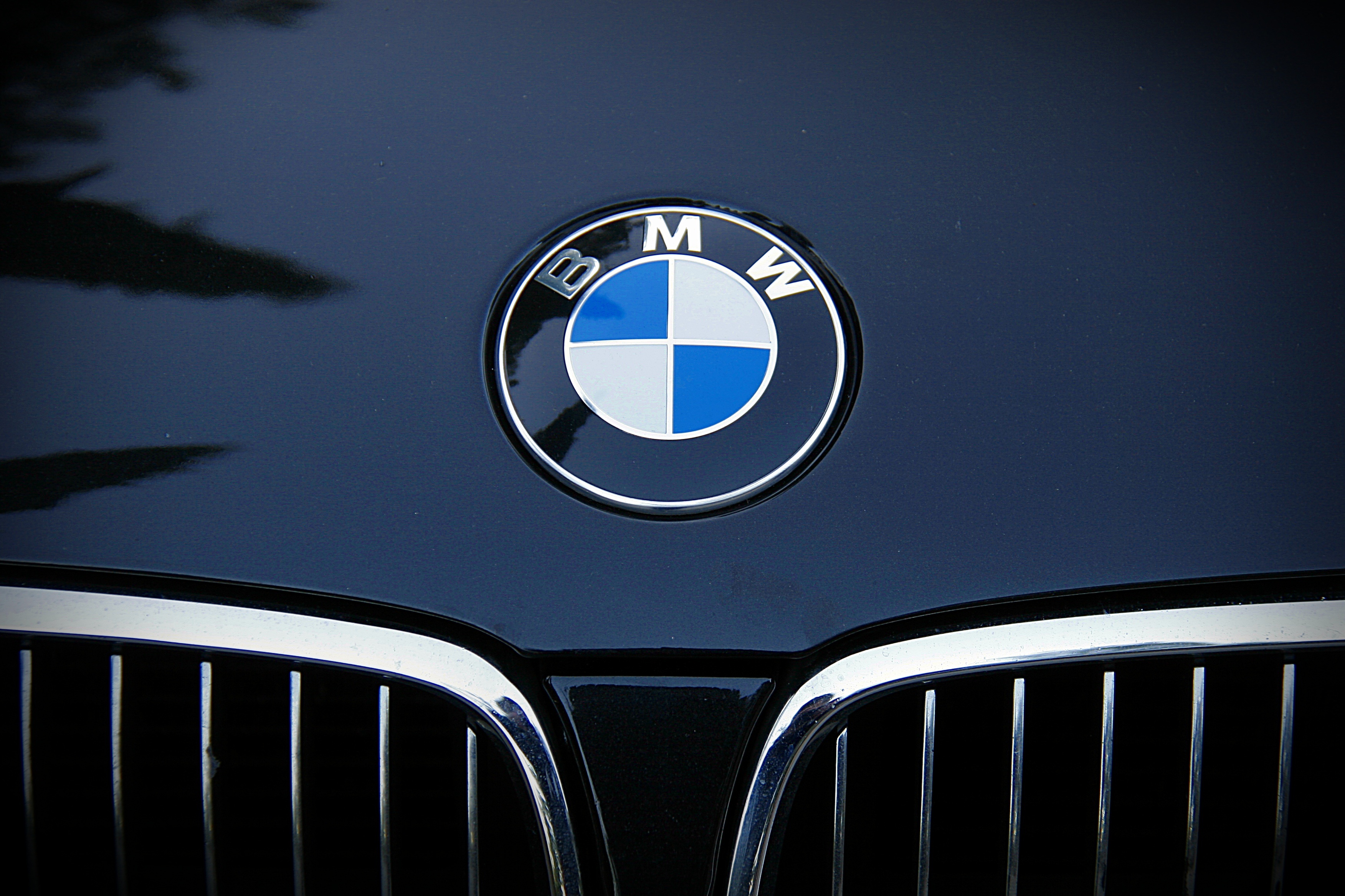Bmw emblem