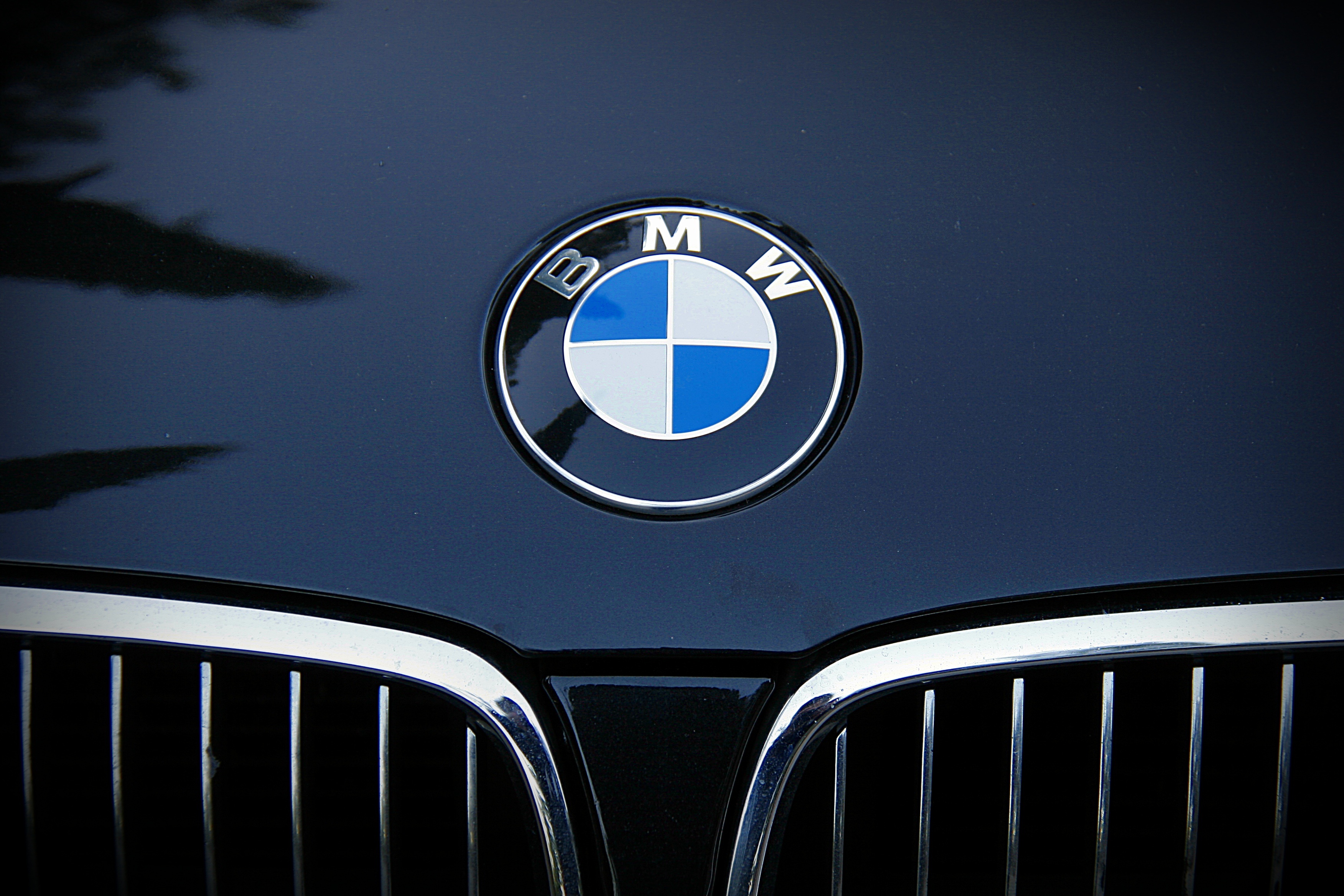 Free photo Bmw emblem