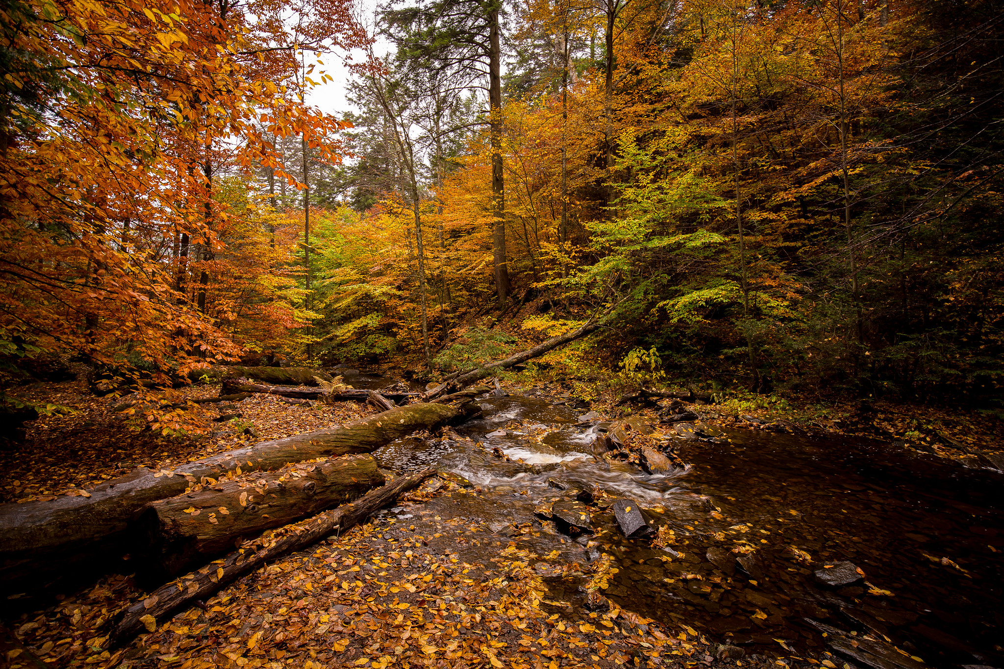 Wallpapers United States Pennsylvania river on the desktop