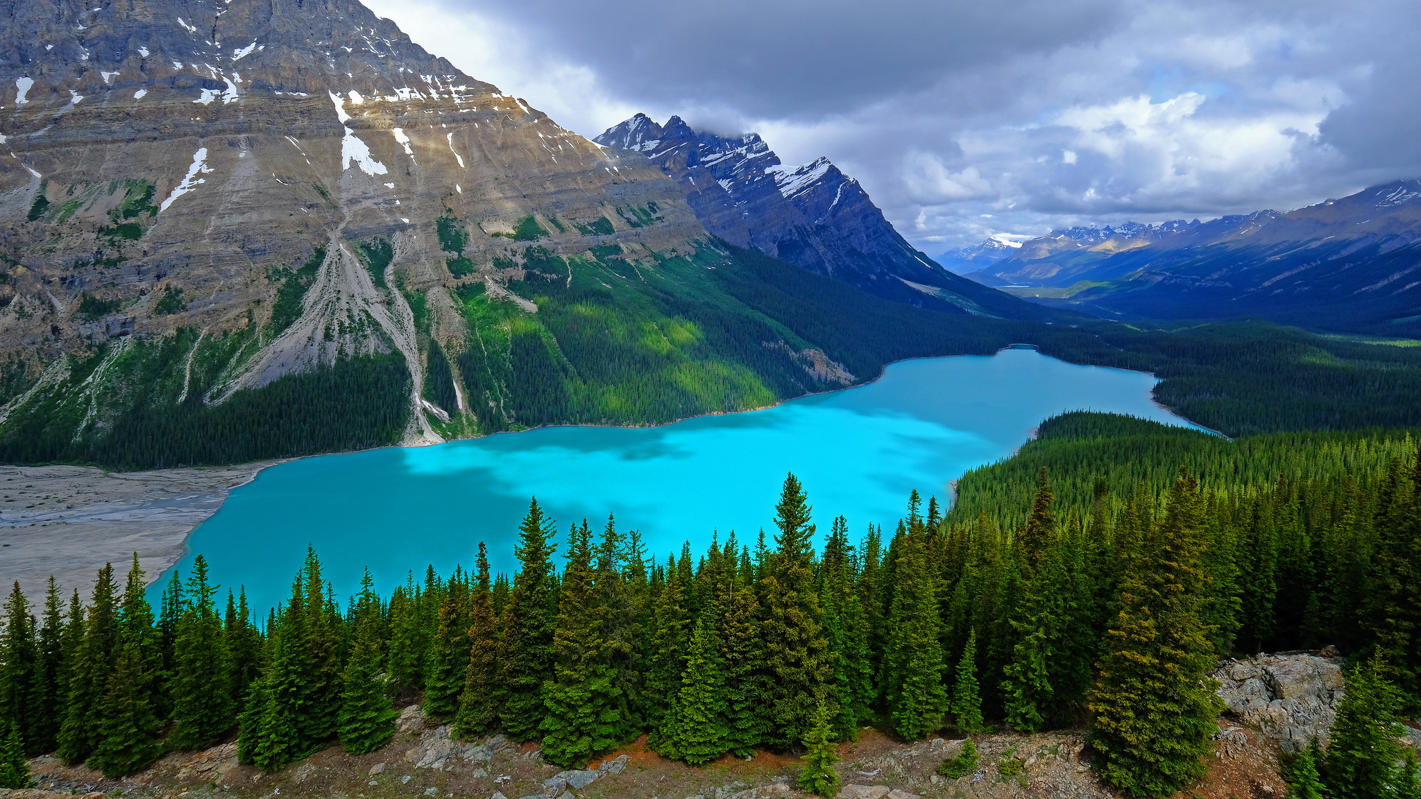 Wallpapers trees Banff national Park lake on the desktop