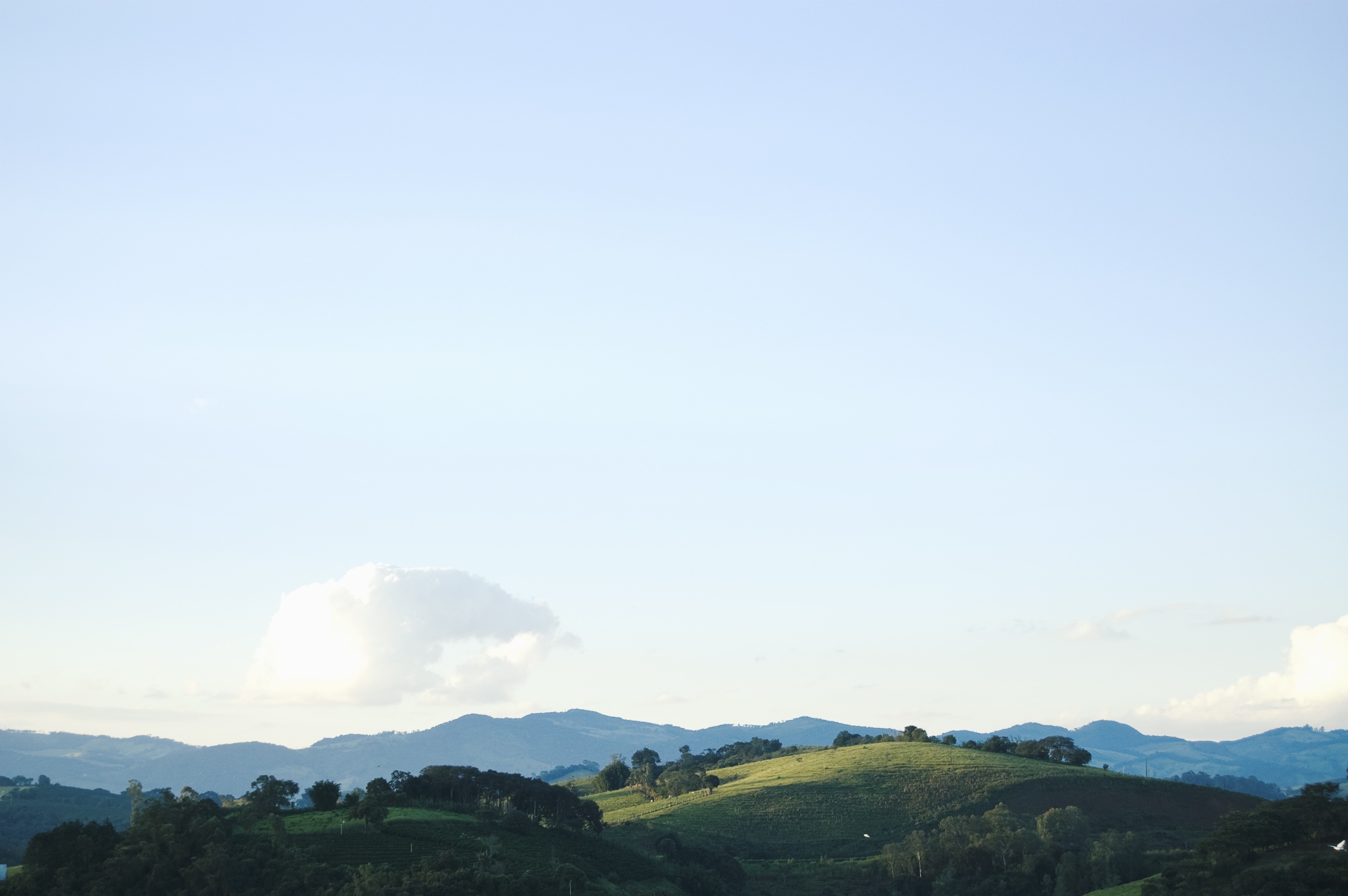 Wallpapers landscape tree nature on the desktop