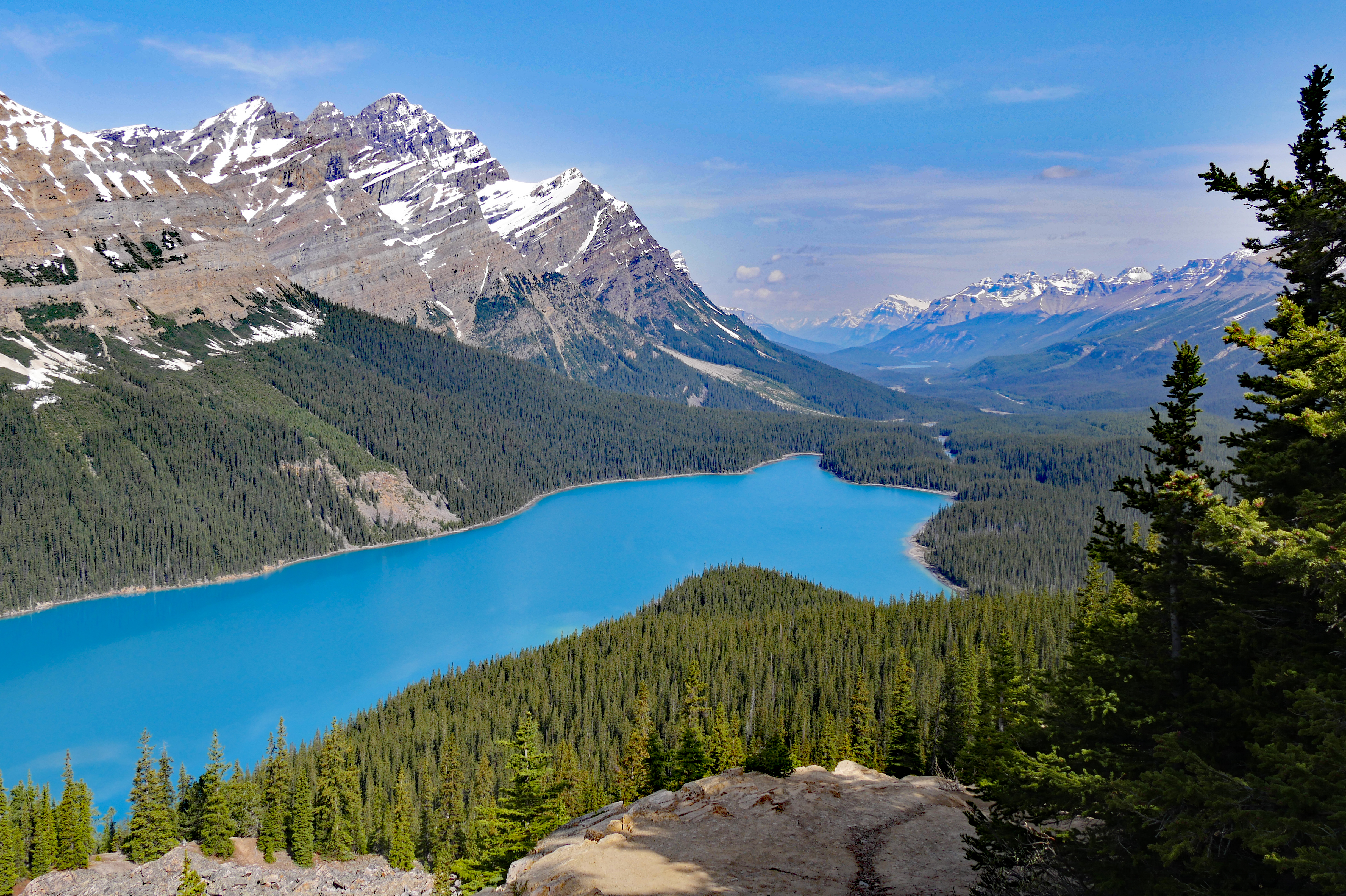 Wallpapers nature trees Alberta on the desktop