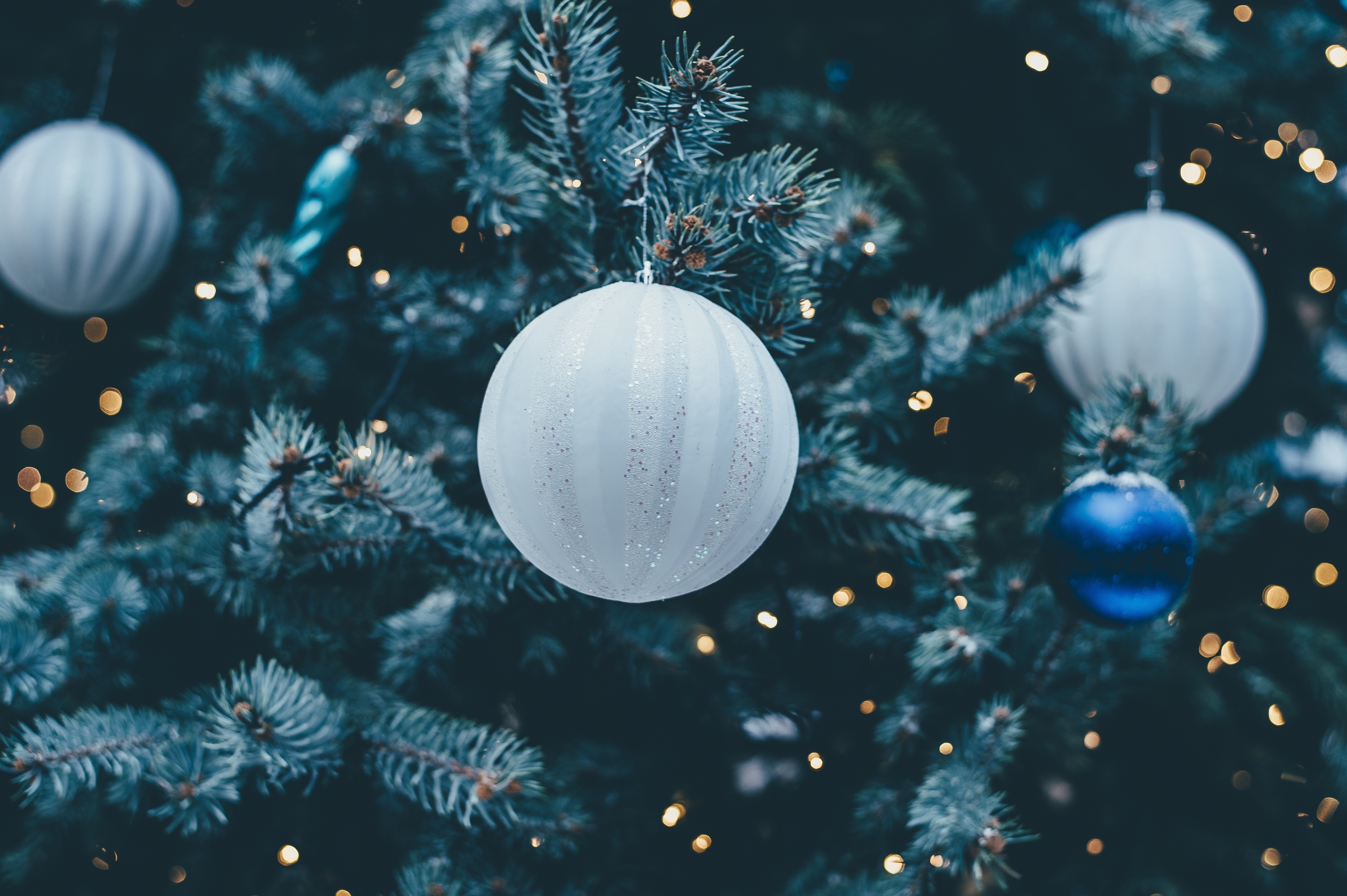 Free photo Christmas balls on Christmas trees