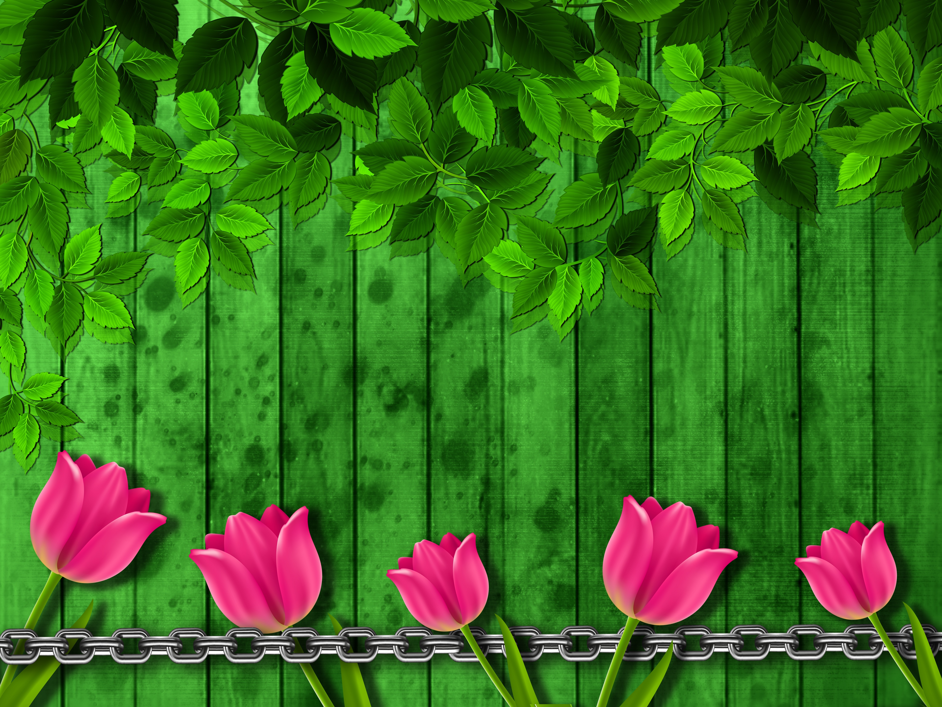 Wallpapers tulips background texture on the desktop