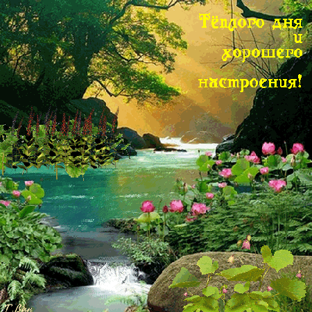 Postcard on the theme summer river birds download for free