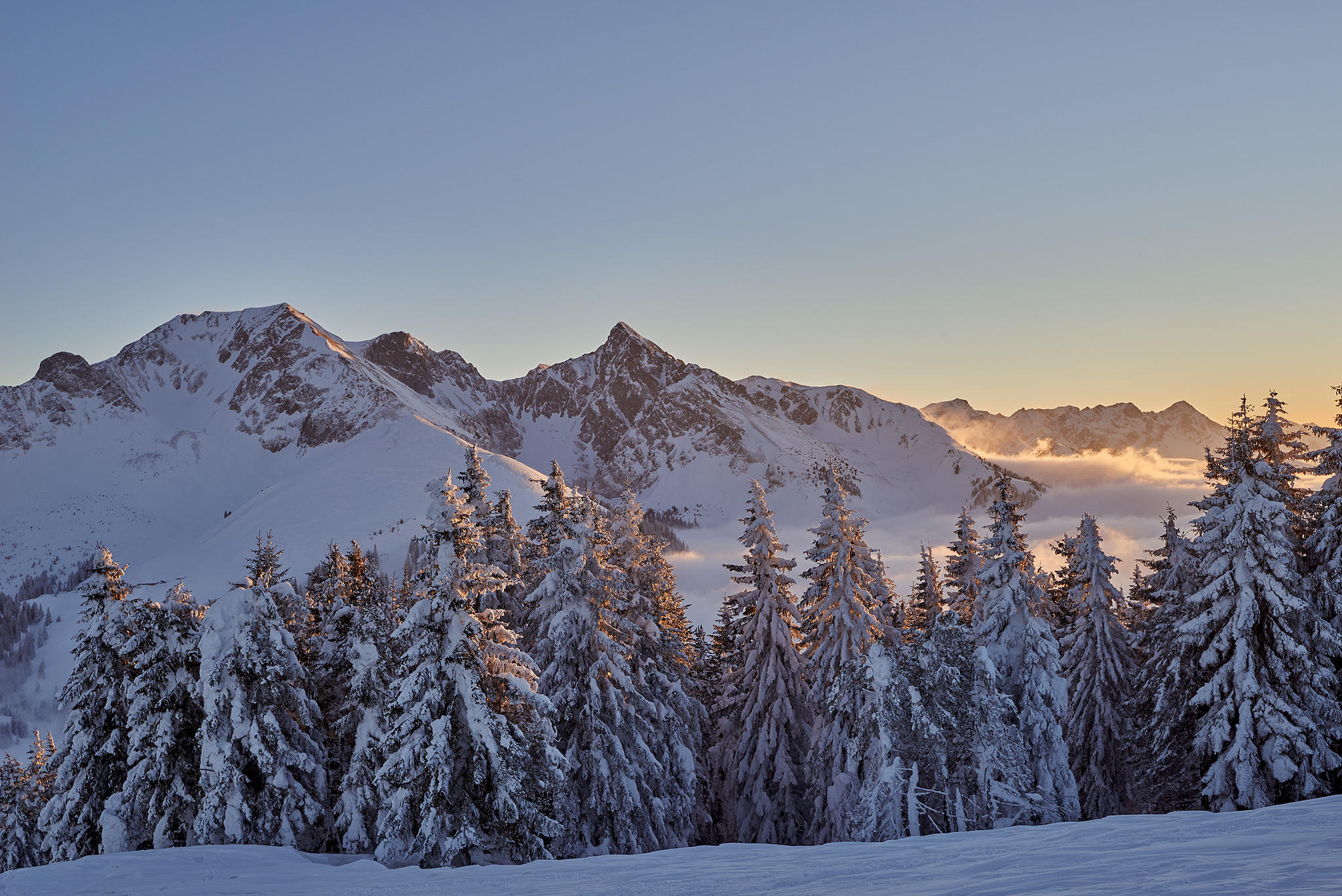 Wallpapers sunset trees in the snow mountains on the desktop