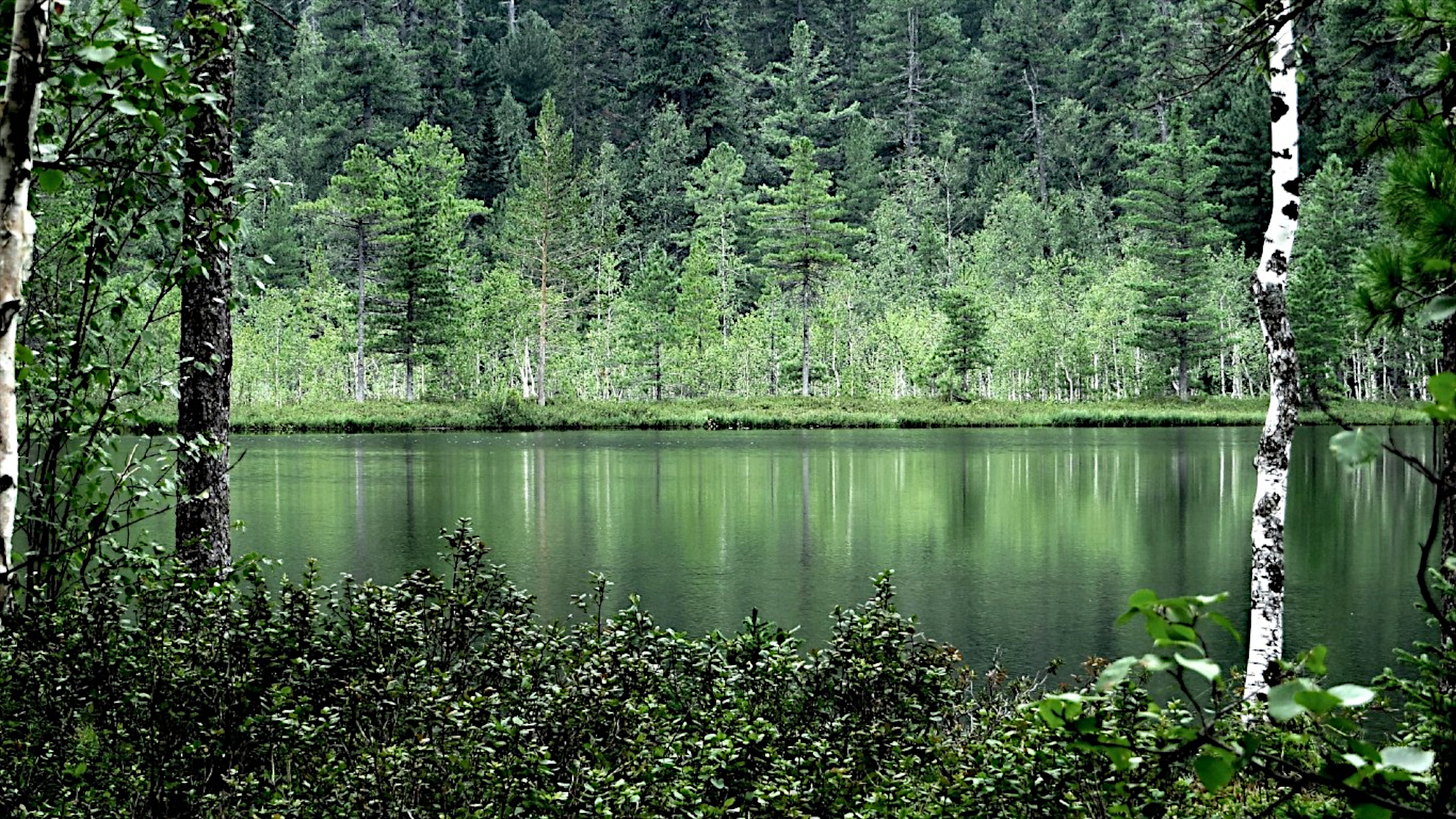 Бесплатное фото Красивый пейзаж с видом на реку