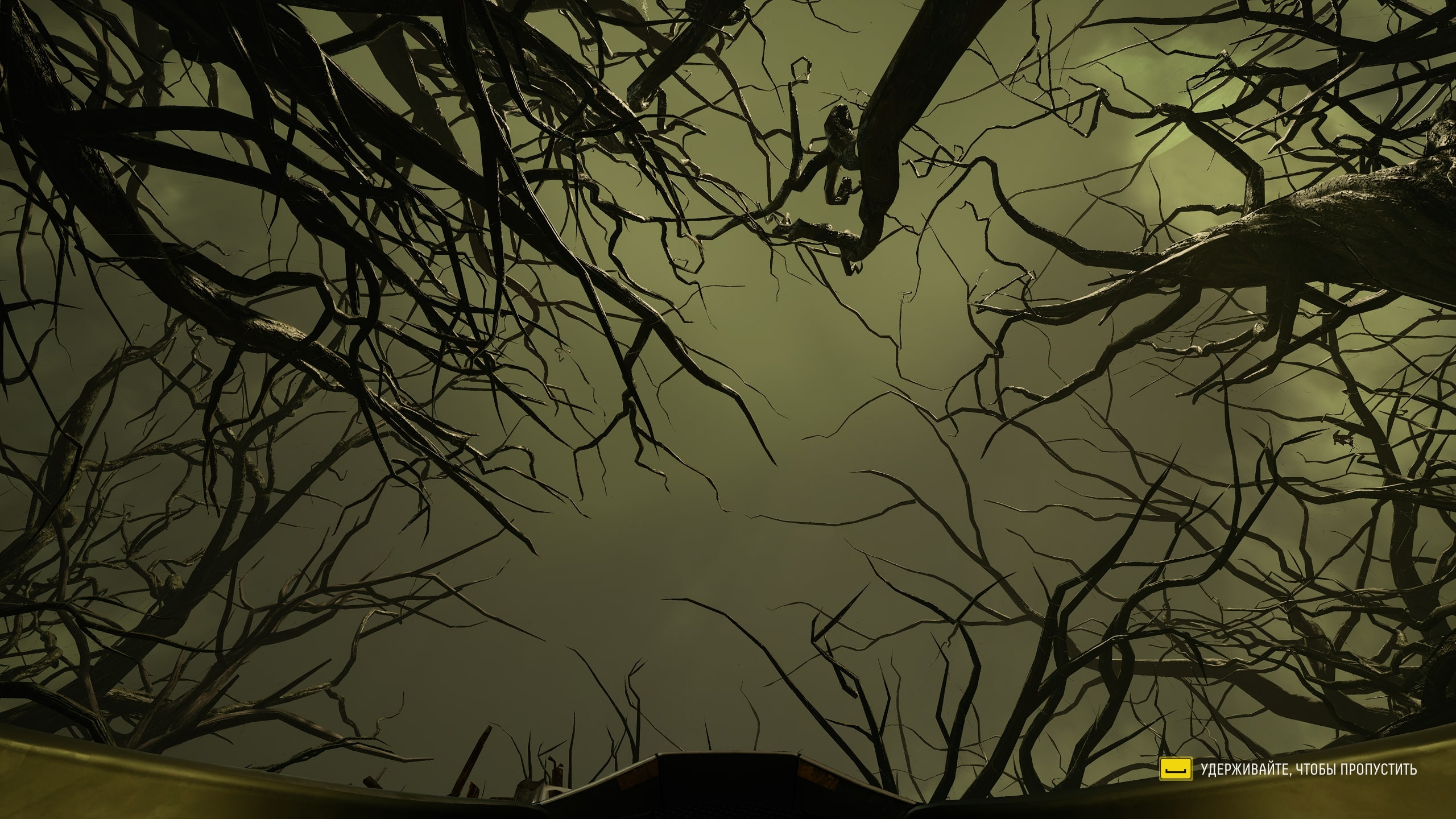 Бесплатное фото Возвращение