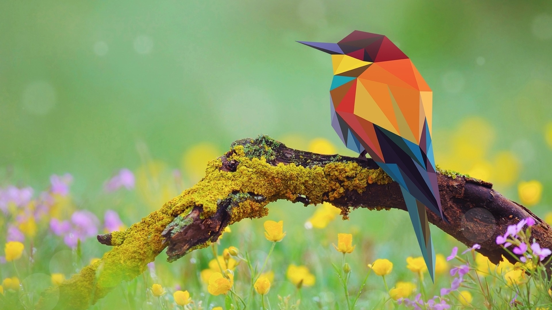 Полигональная птица в весеннем поле