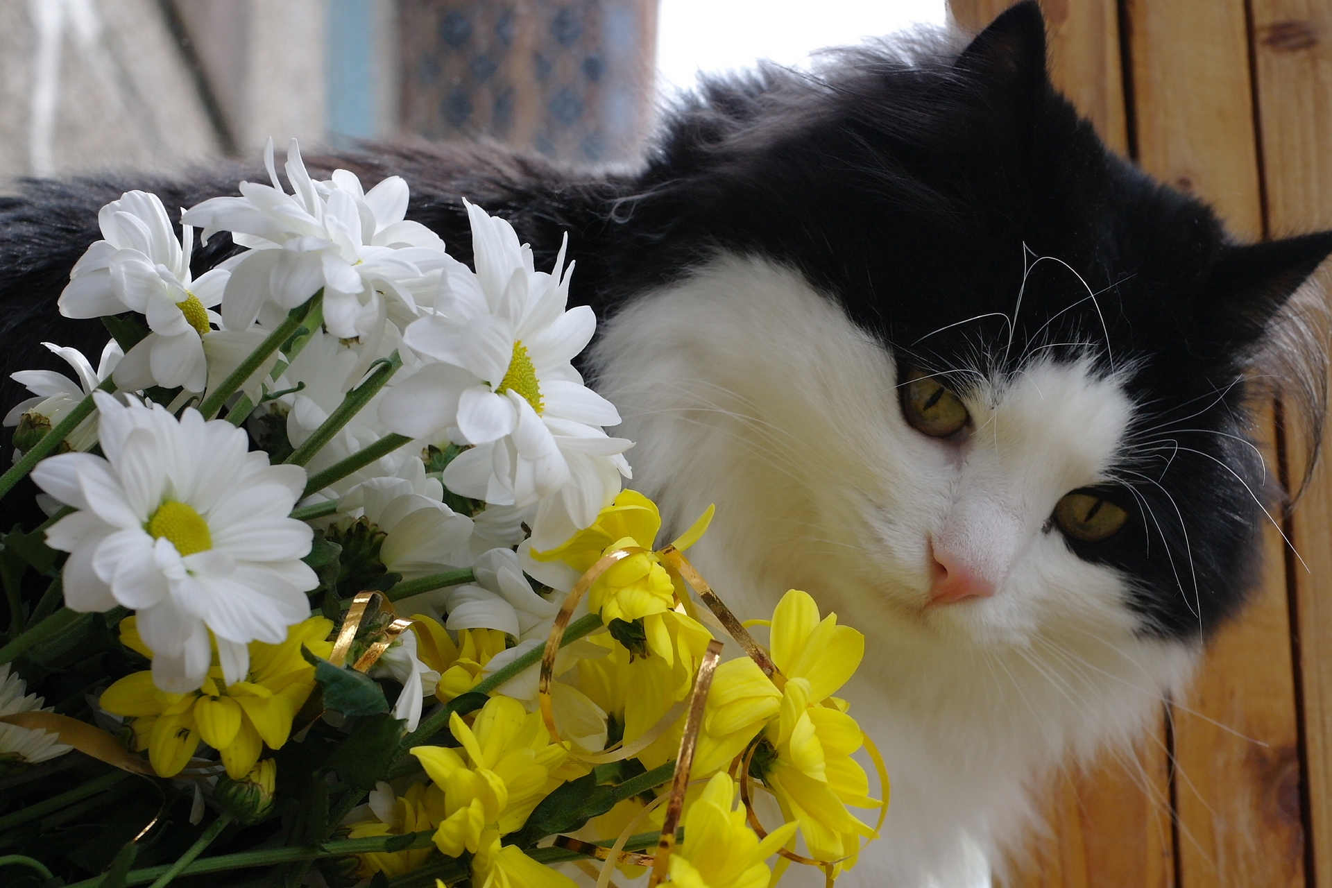 A spring bouquet and a fluffy friend