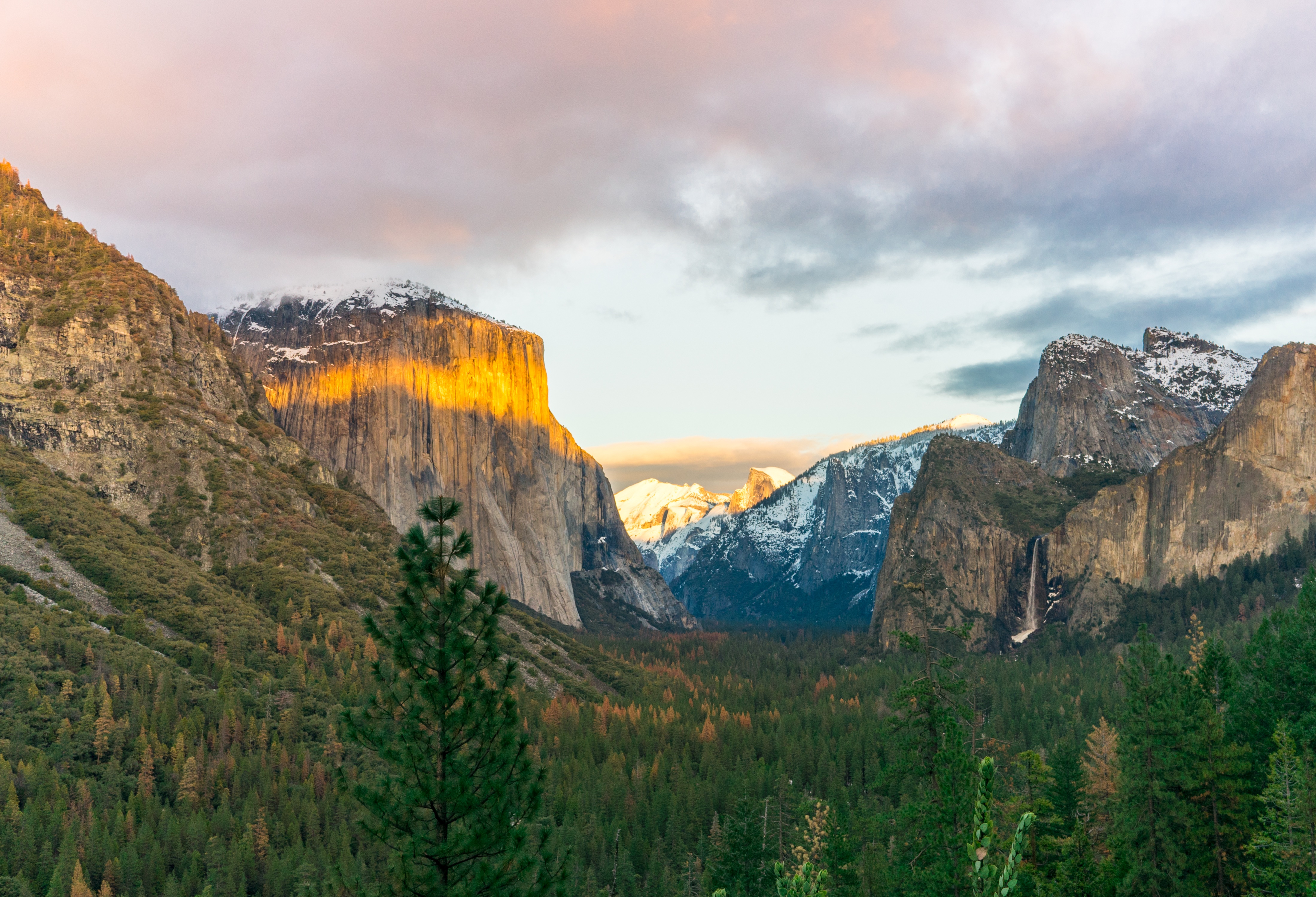 Free photo The forest in the gorge between the mountains at sunset