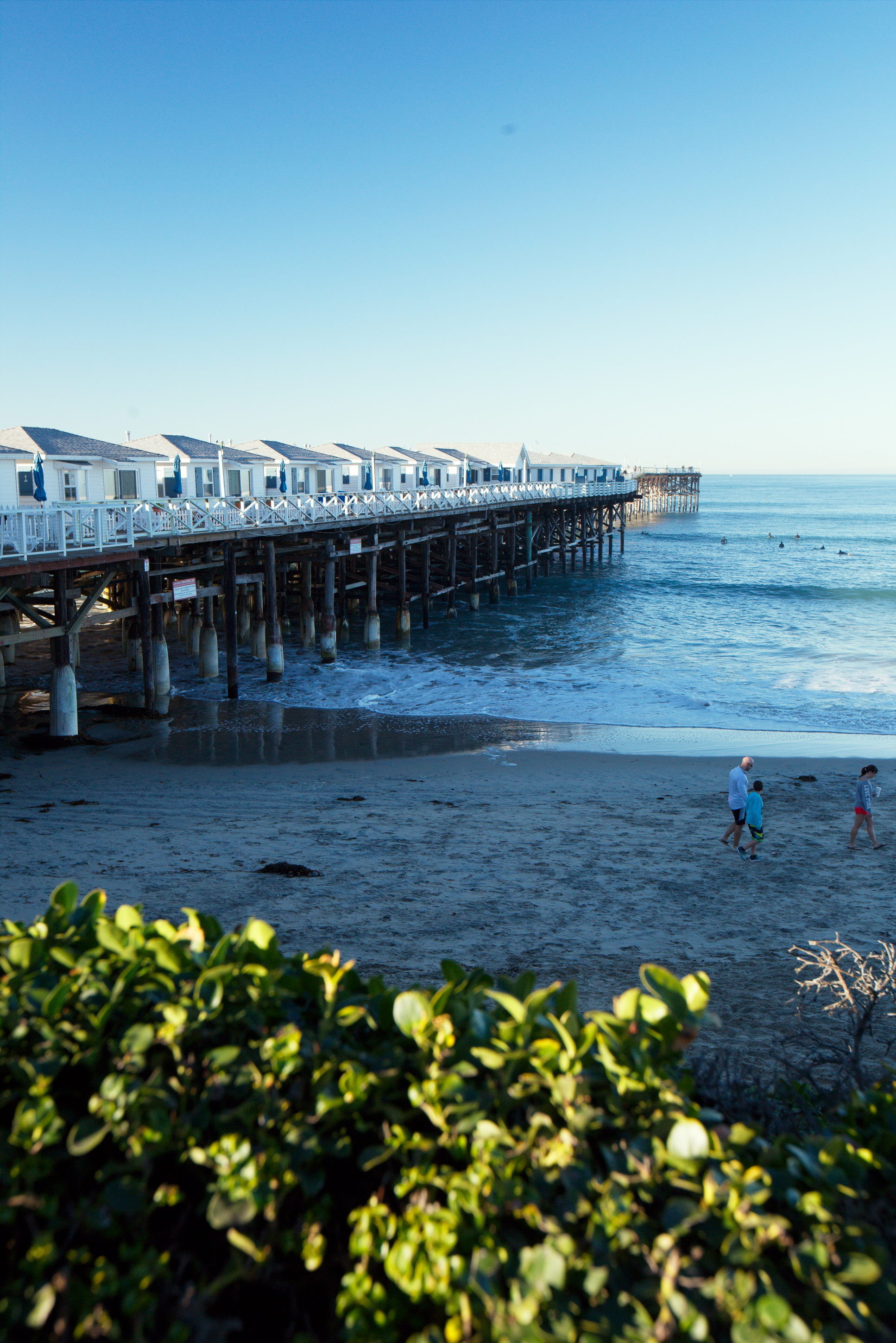 Wallpapers ocean san diego pier on the desktop