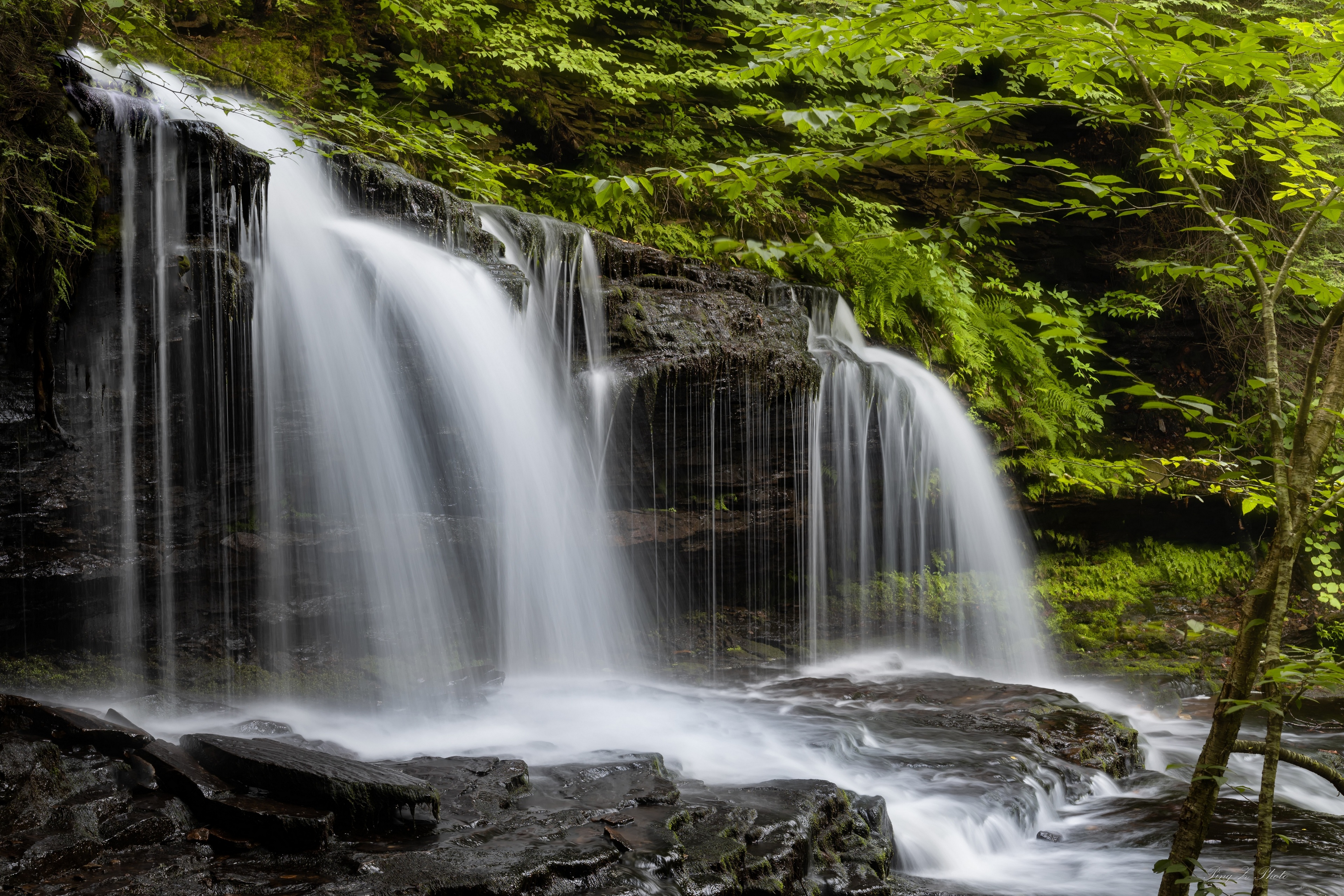 Free photo Waterfall among the green leaves