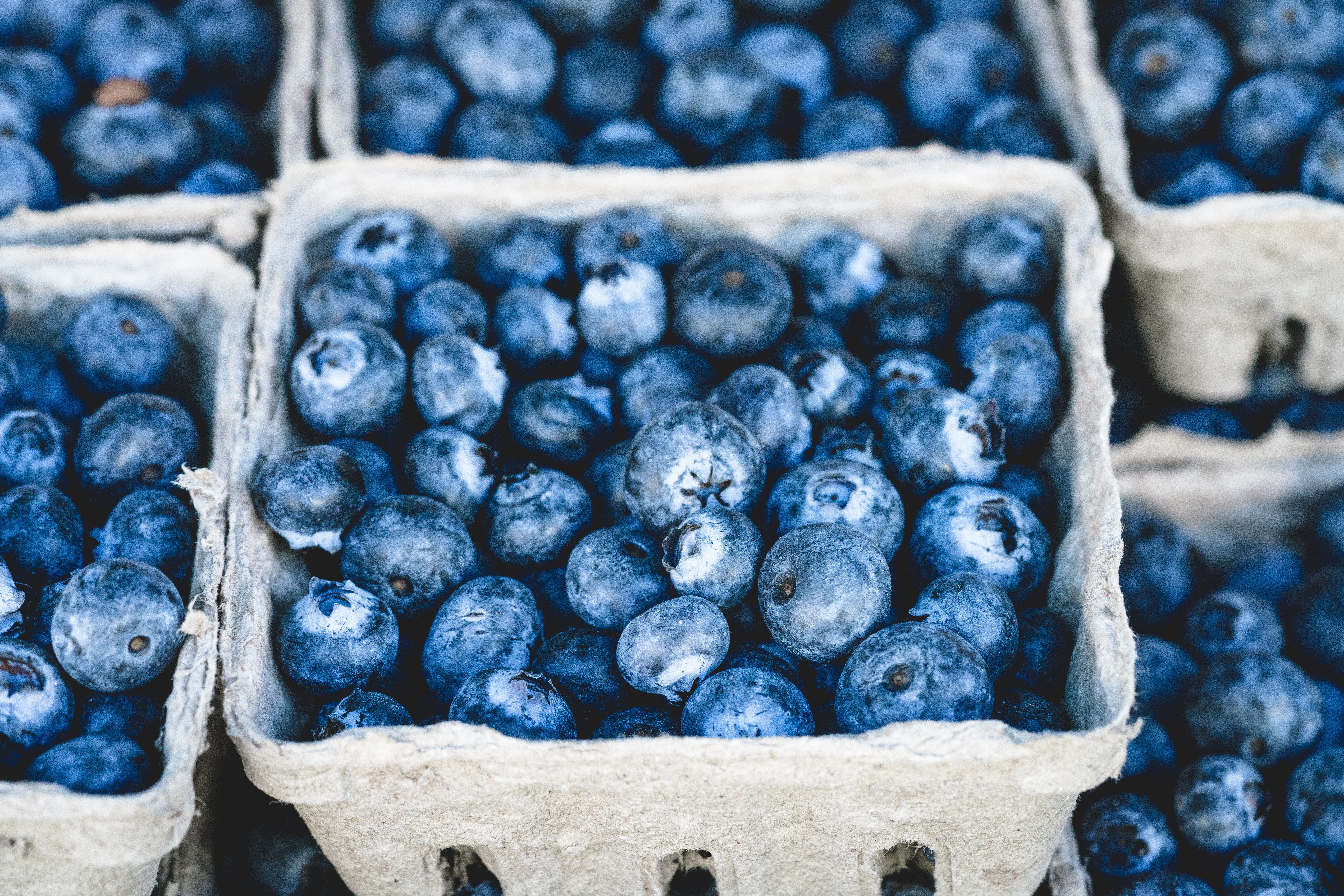 蓝莓在盘子里