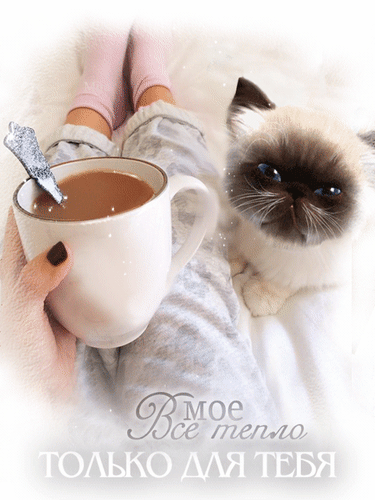 Открытка на тему только для тебя котенок анимация скачать бесплатно
