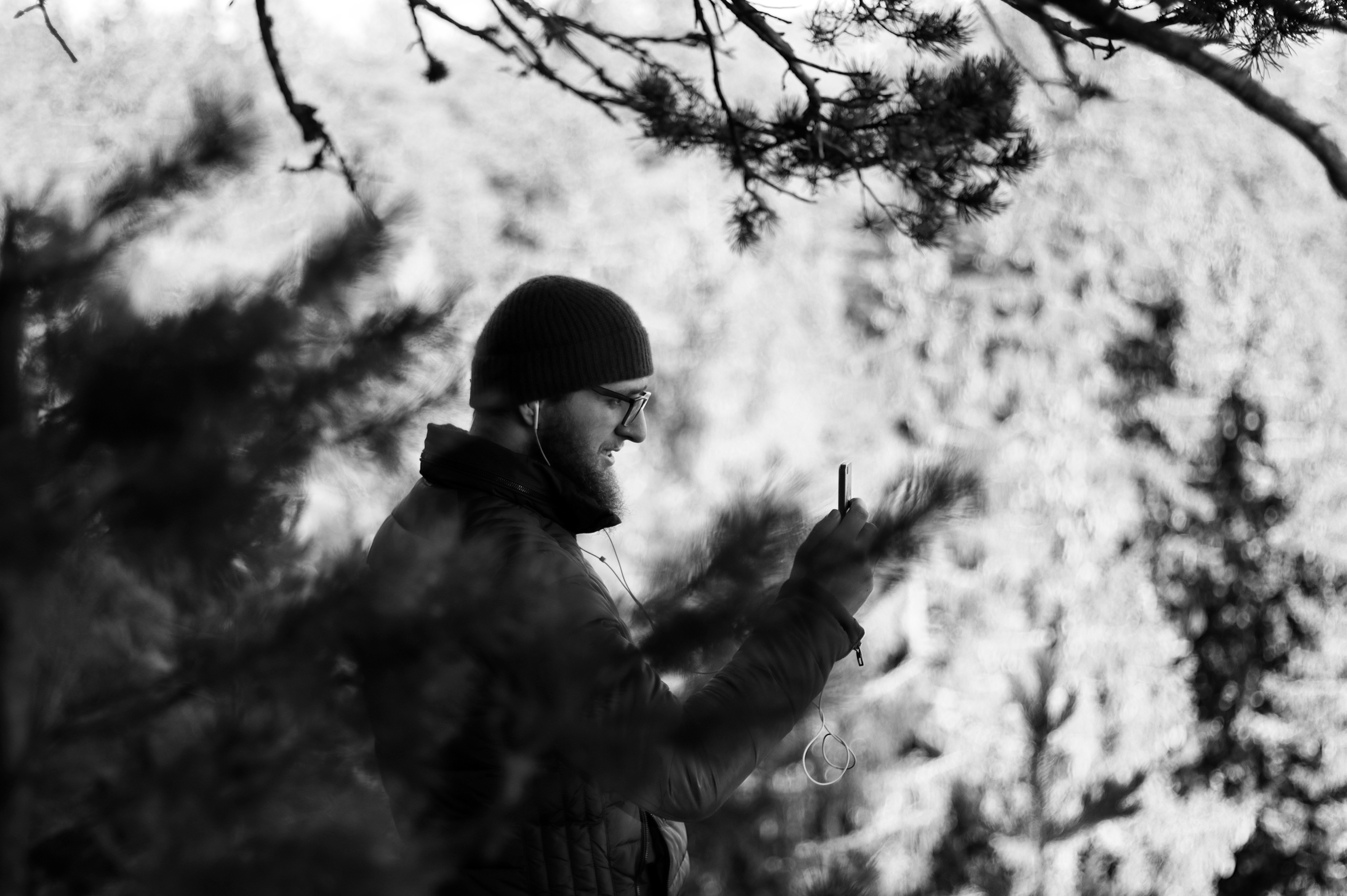 桌面上的壁纸人 木材 雪